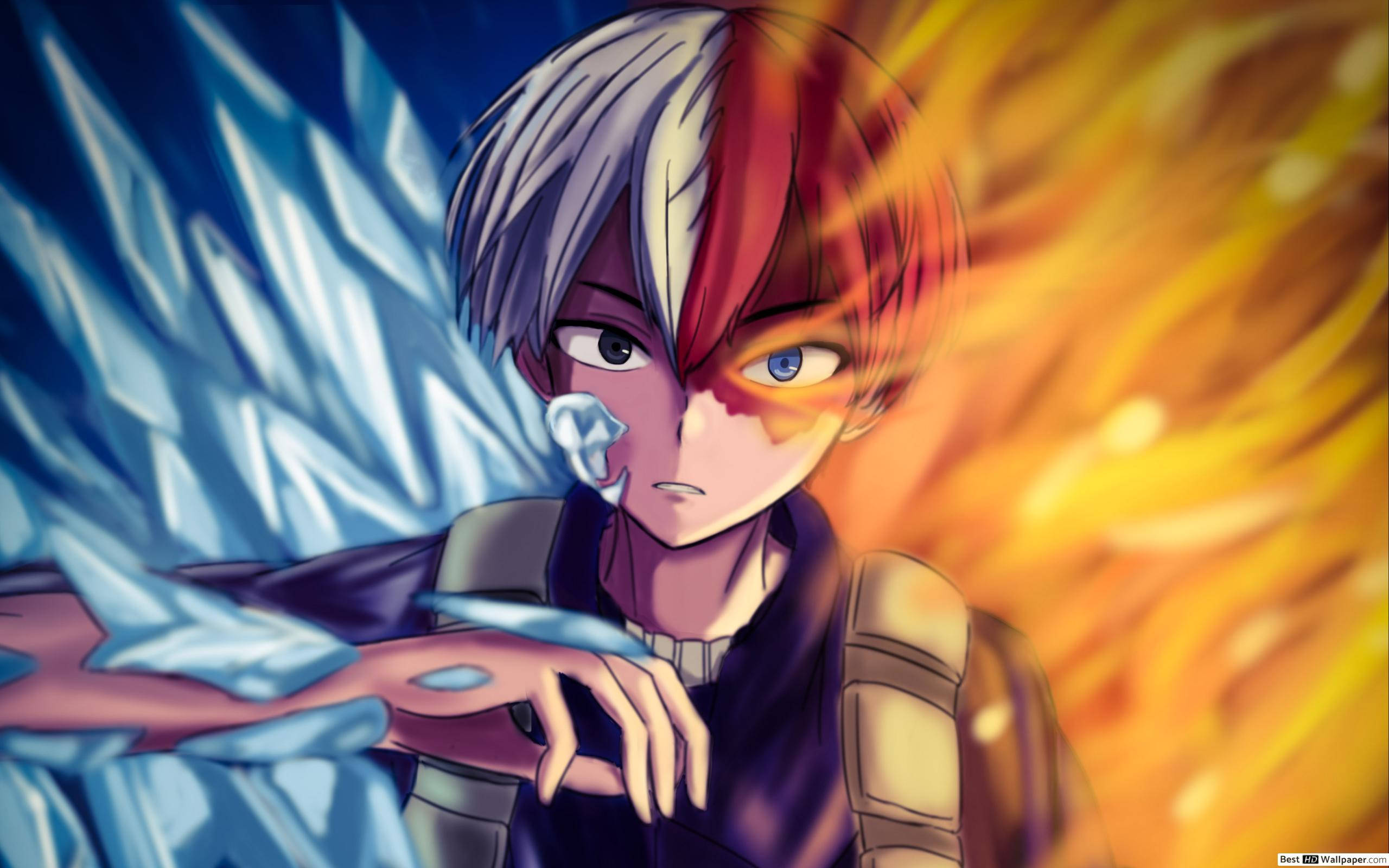 Nærbillede af sød Todoroki Wallpapers