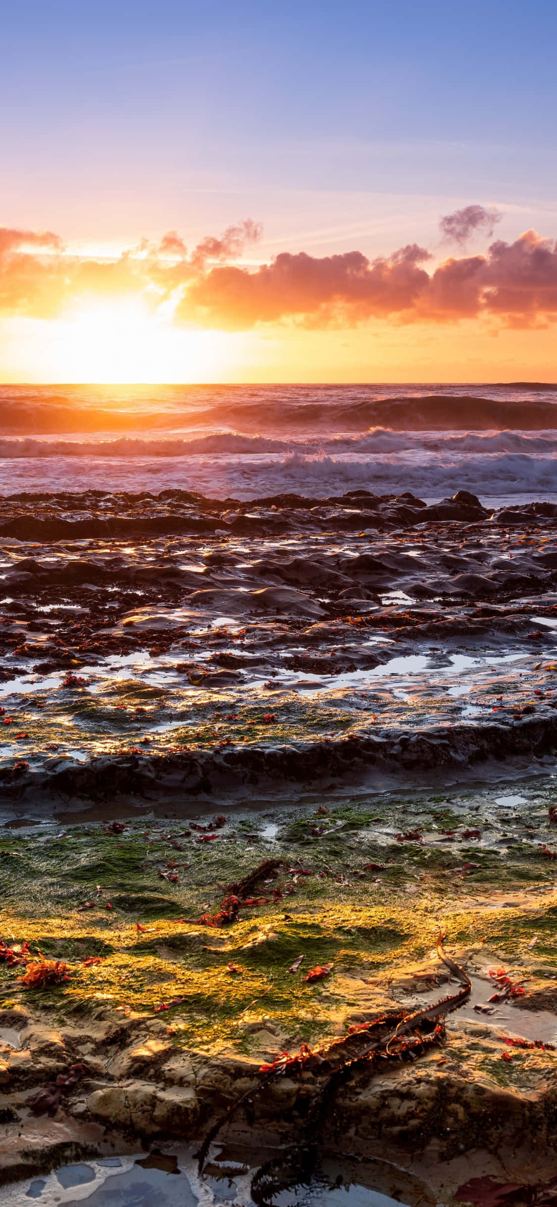 Nyd Californiens kystlinje hvor som helst med iPhone X Wallpapers