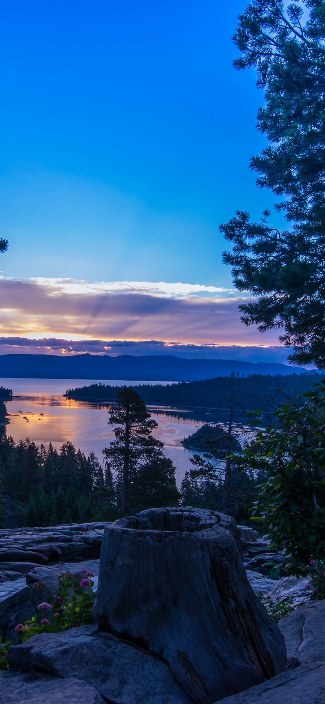 Nyd de betagende udsigter i Californien med iPhone X Wallpapers