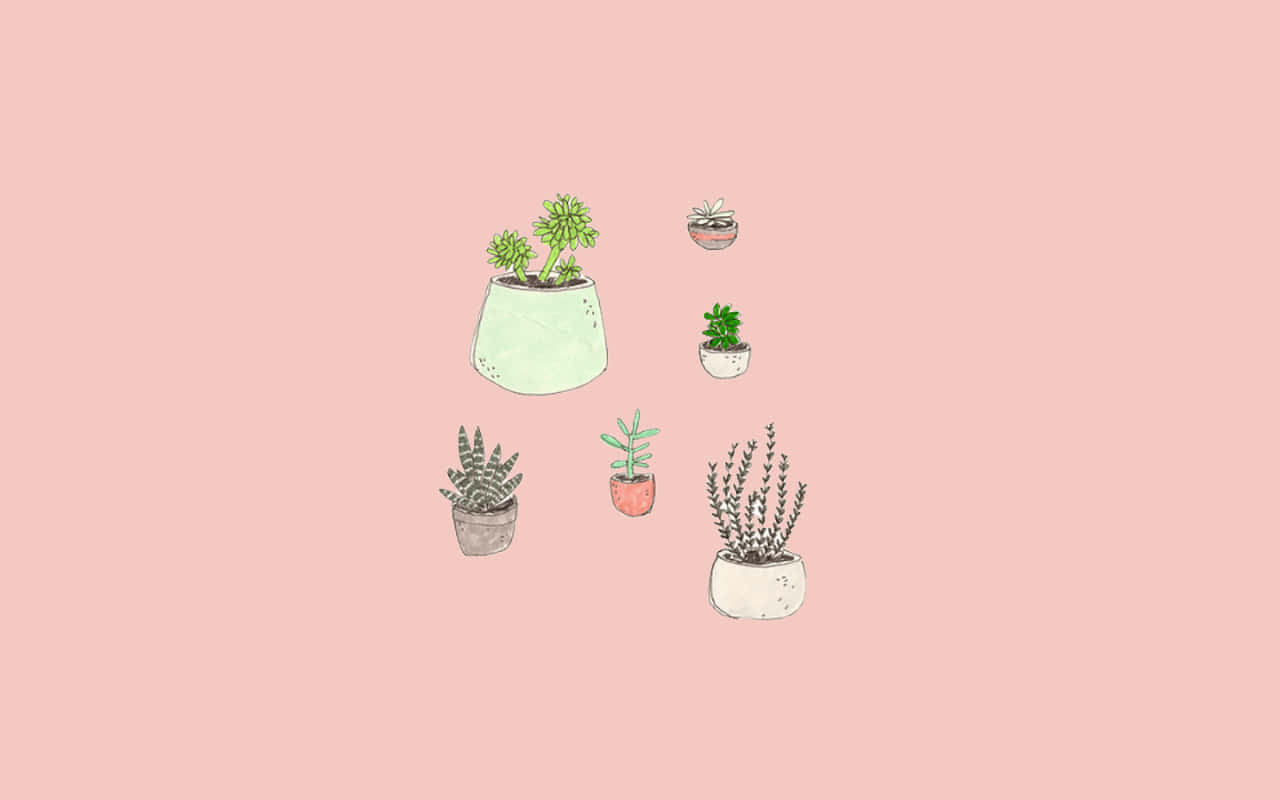 Nyd den bløde, æstetiske lyserøde farve i drømmende natur Wallpapers