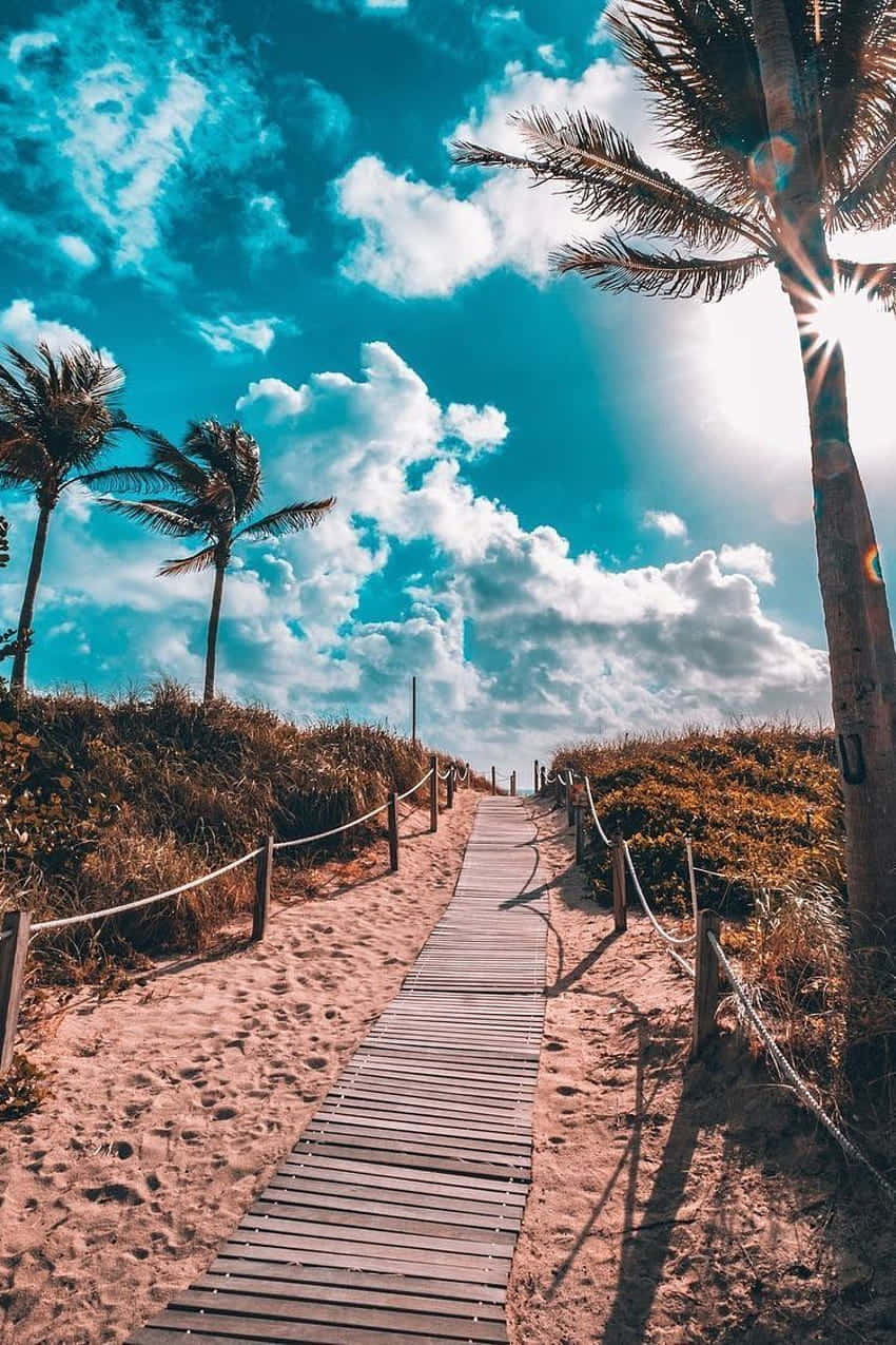 Nyd den californiske sommer Wallpapers