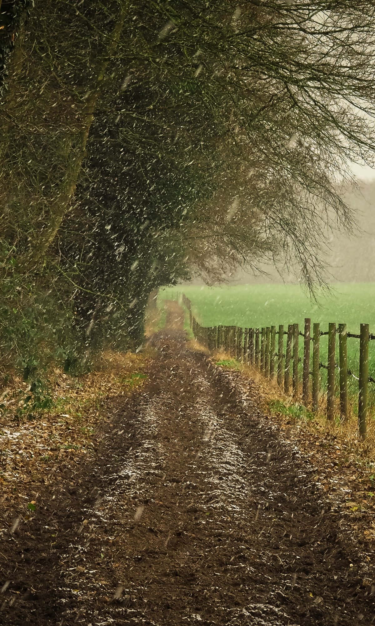 Nyd den fredfyldte skønhed ved en rolig sø. Wallpapers