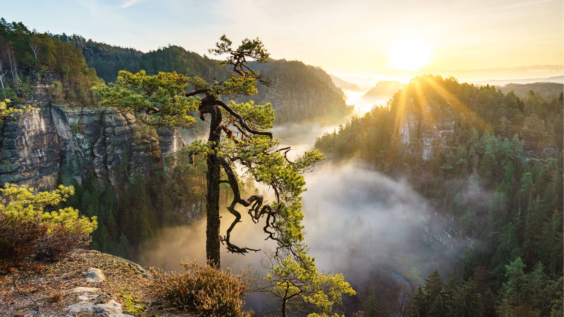 Naturfotografi med solopgang 4k wallpaper — Natur Wallpapers