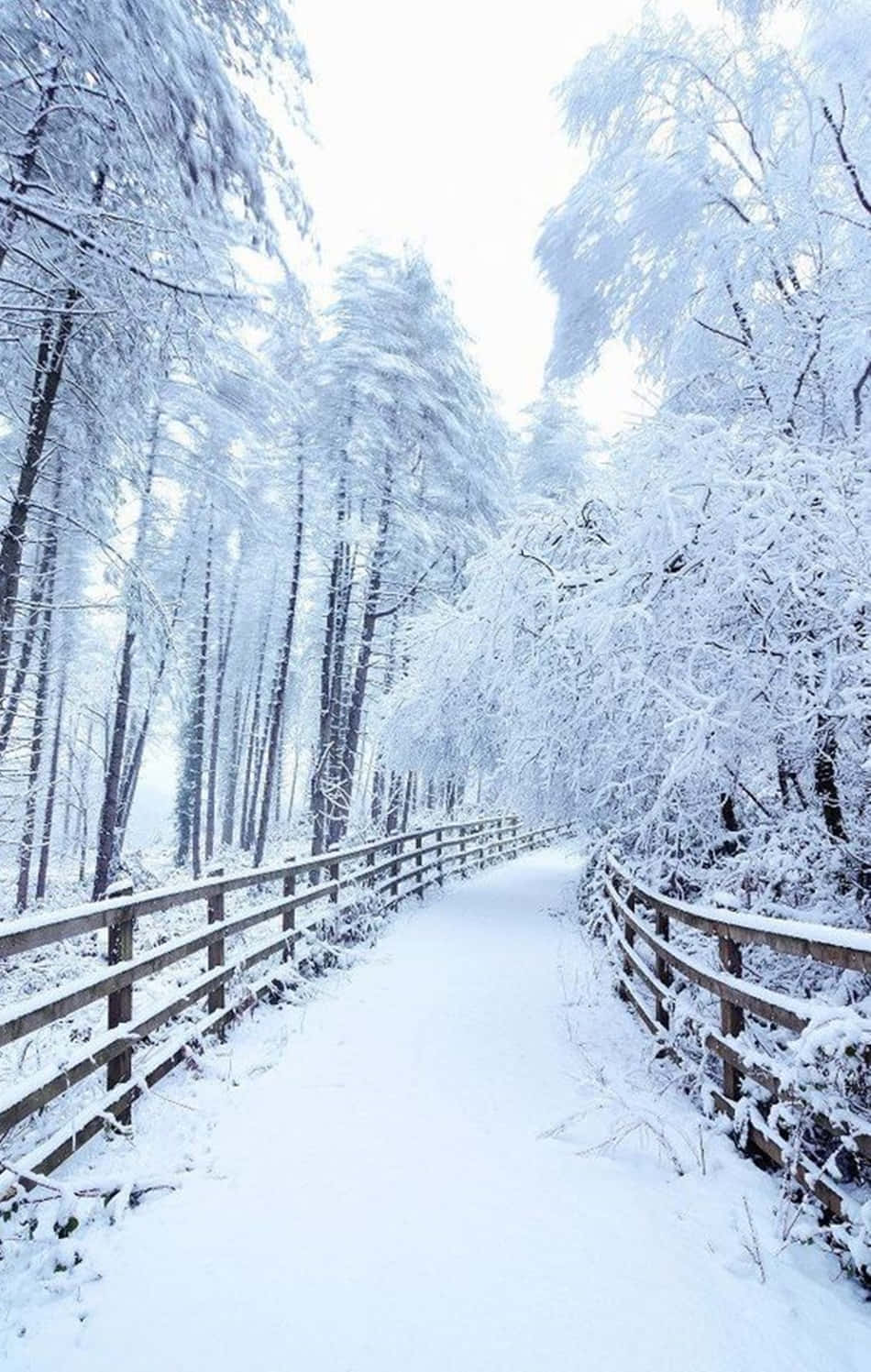 Nyd den sprøde sne mens du camperer med din Snow iPhone Wallpapers
