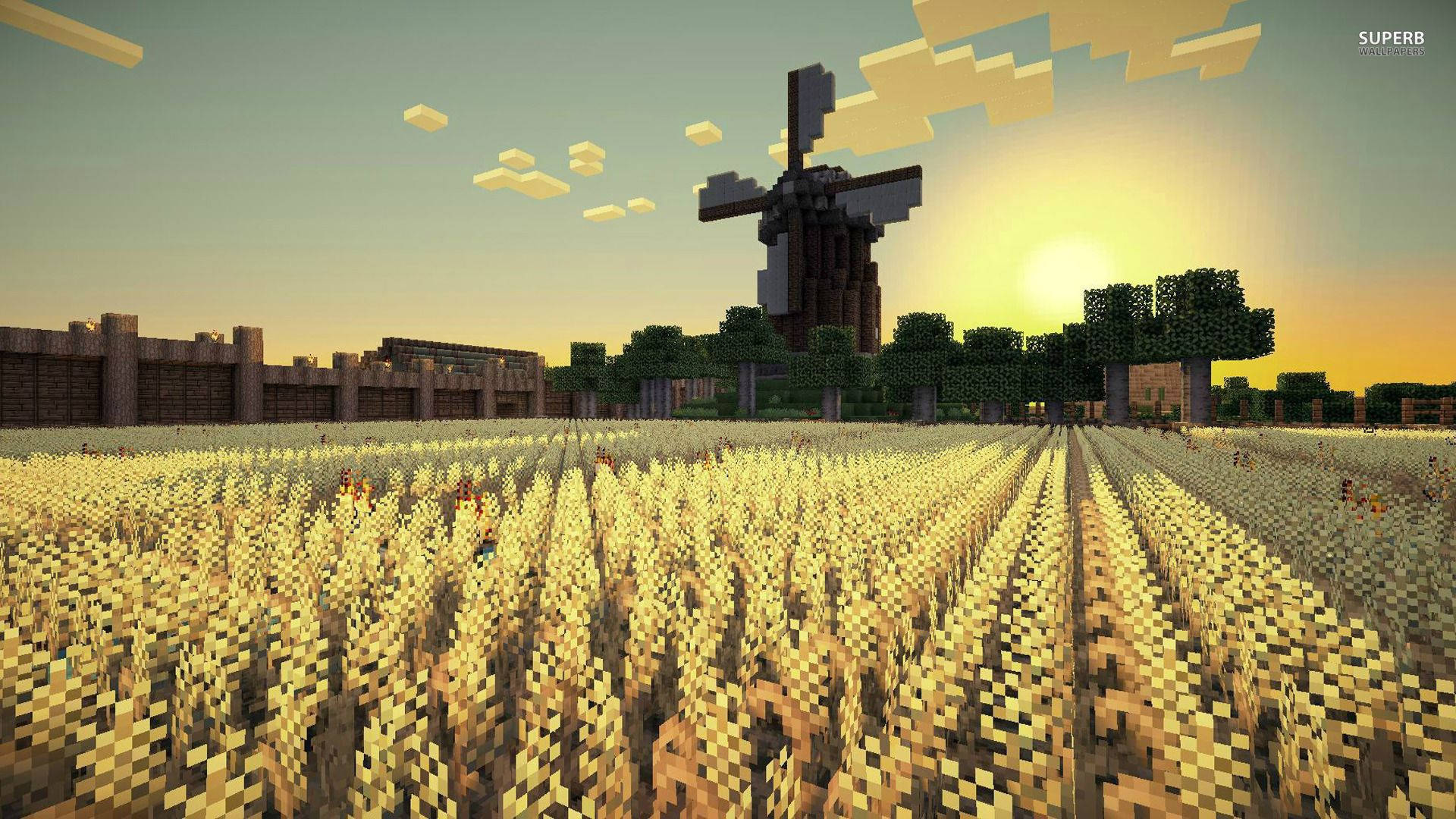 Nyd den stille morgen i en Minecraft rismark Wallpapers