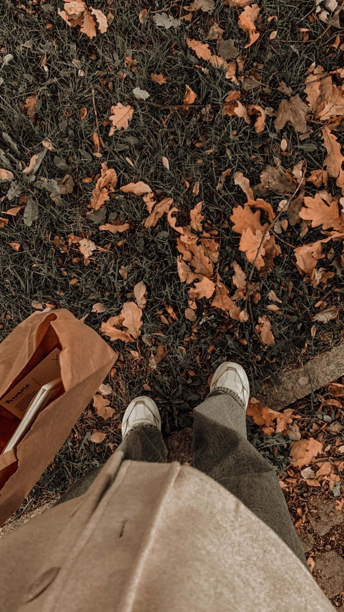 Nyd den varme, beroligende effekt af Aesthetic Brown Wallpapers