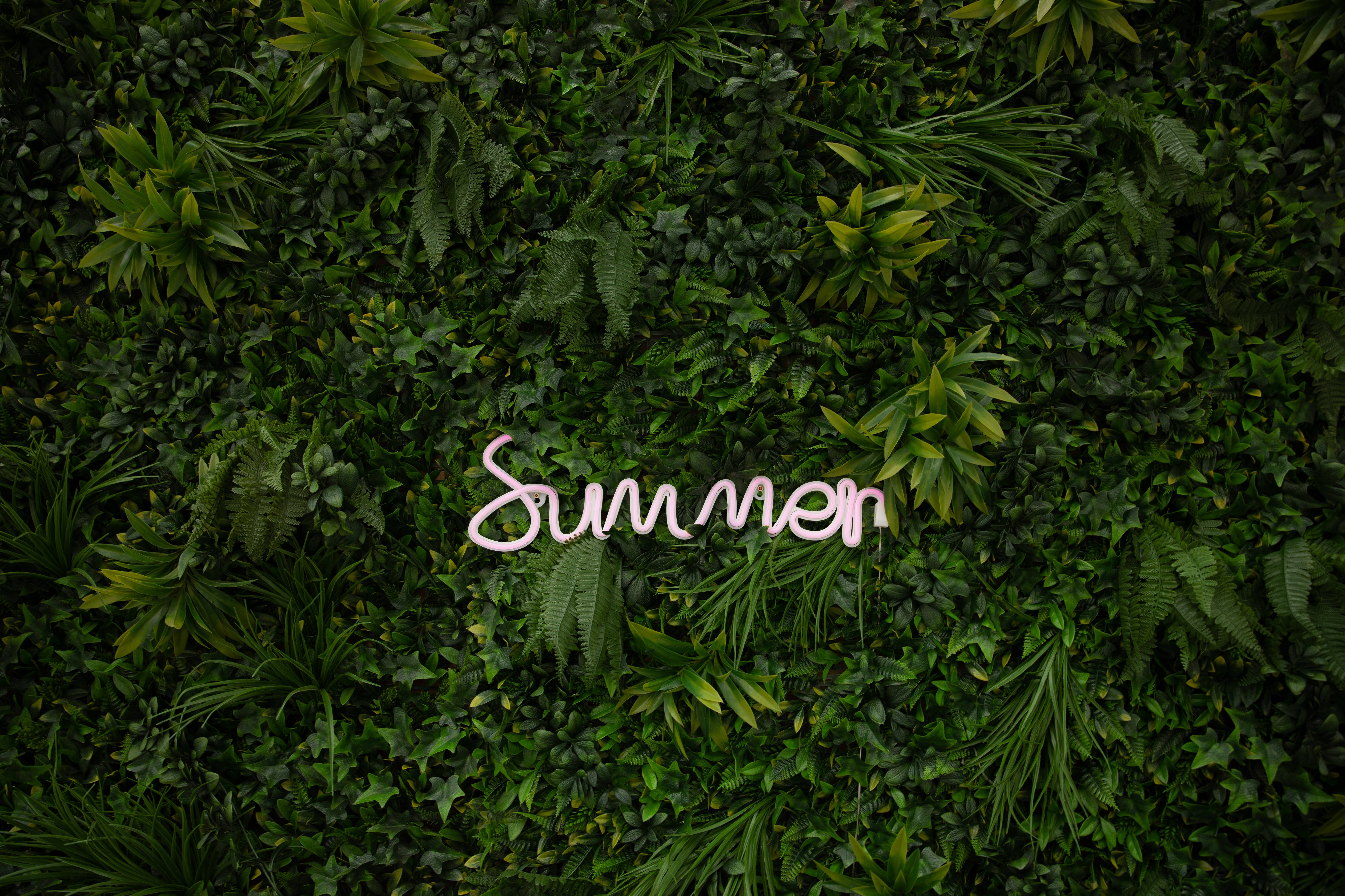Nyd denne sommer! Wallpapers