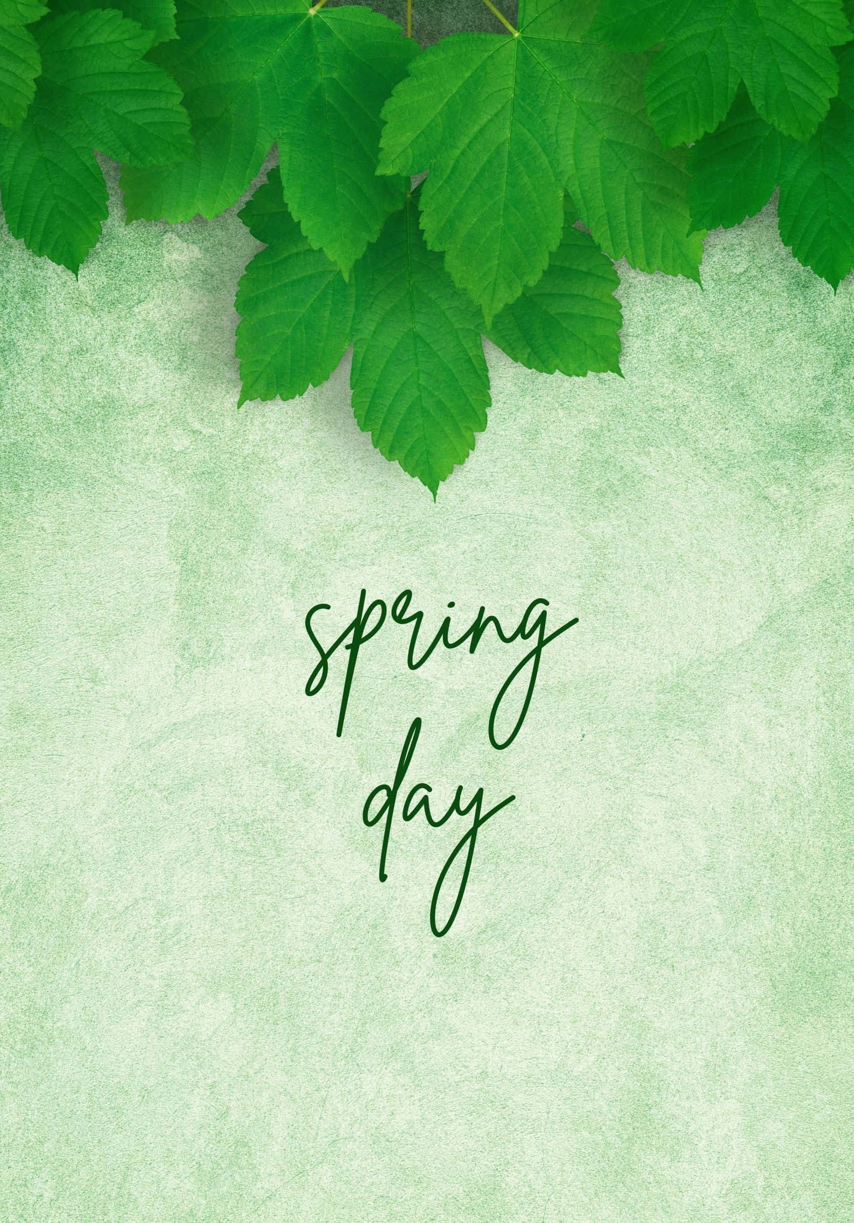Nyd det bedste af foråret Wallpapers