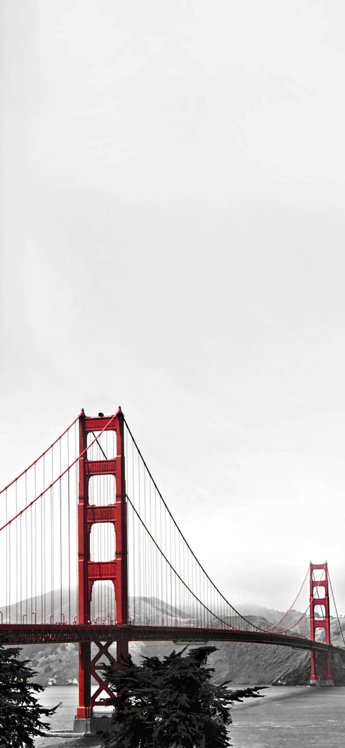 Nyd det slanke og alsidige design af en hvid iPhone Wallpapers