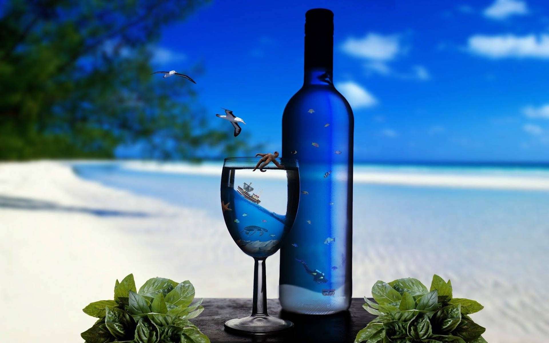 Nyd en kold drik på stranden Wallpapers