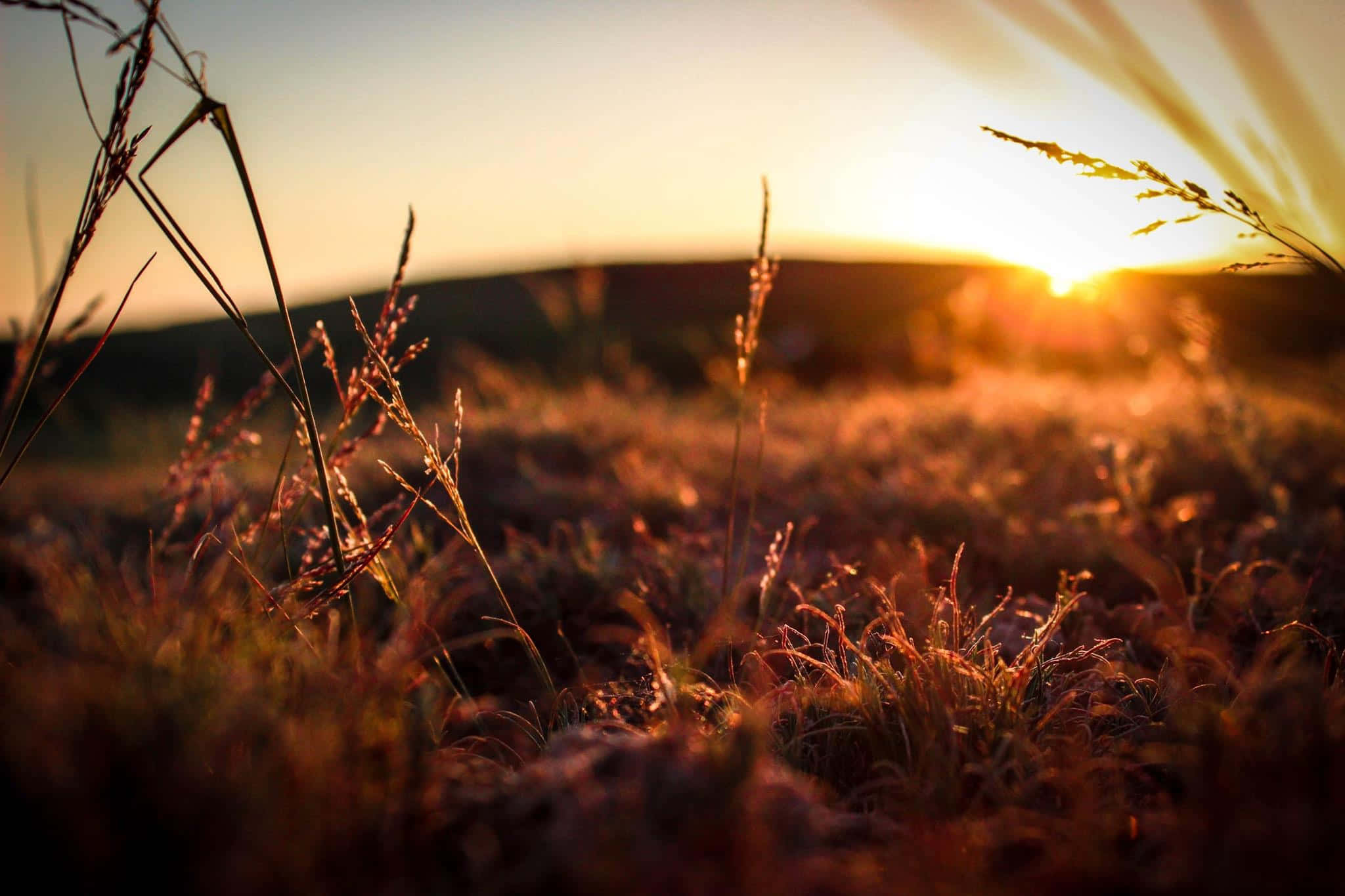 Nyd en smuk solnedgang Wallpapers