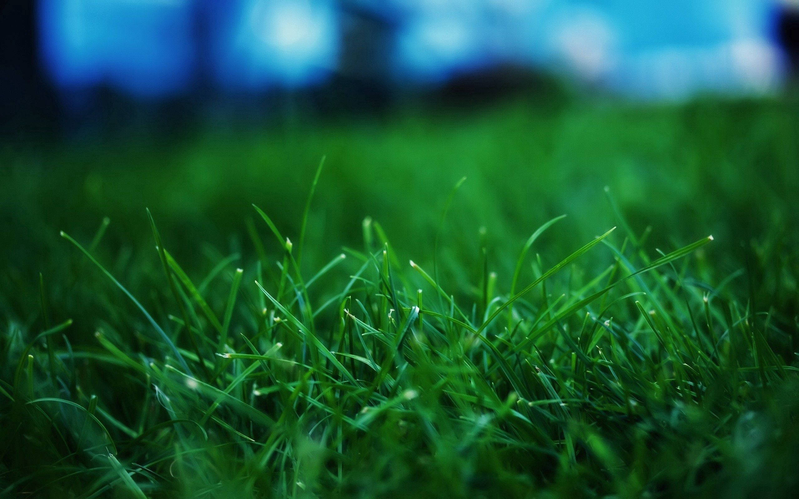 Nyd en smuk sommerdag Wallpapers