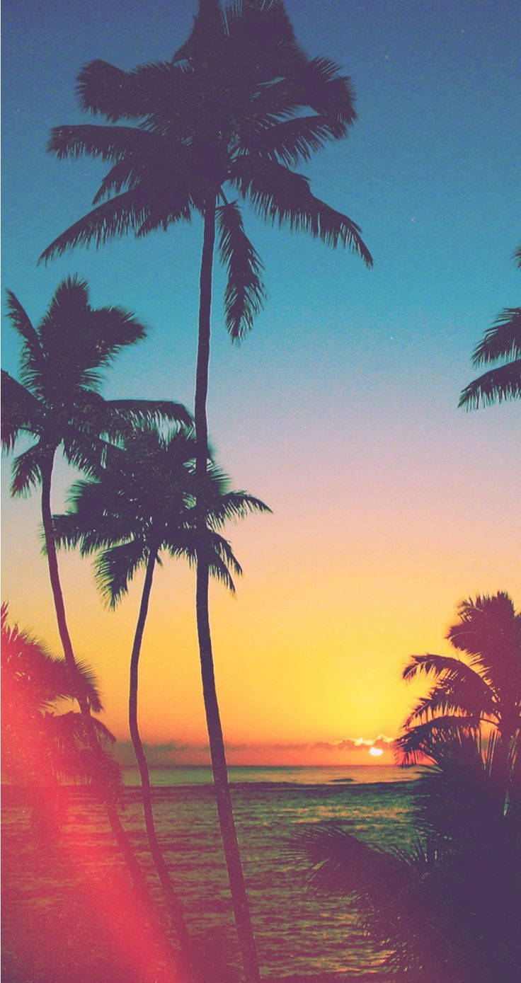 Nyd en solnedgangsstrandparadis med din iPhone Wallpapers