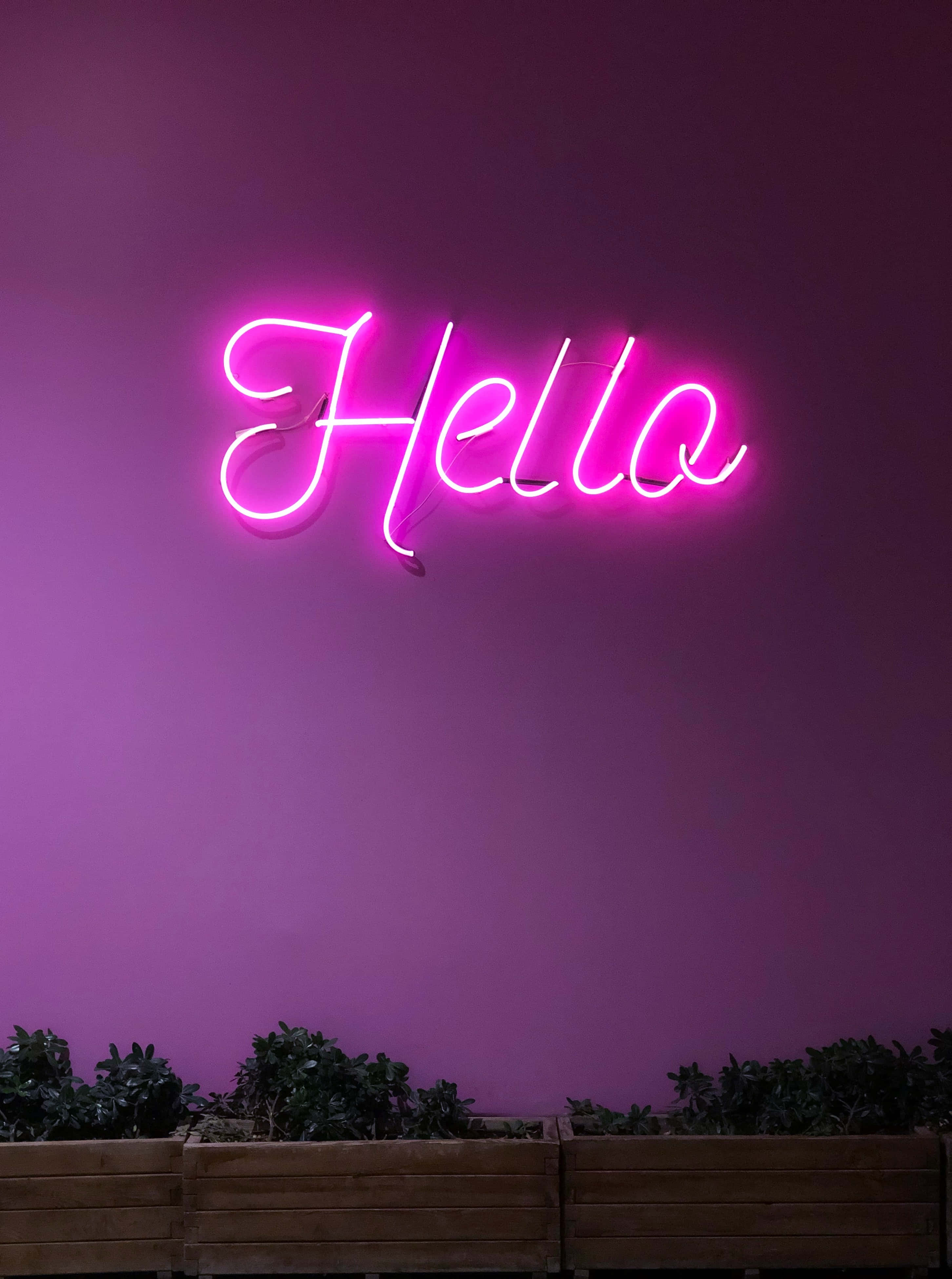Nyd en unikt farverig oplevelse med lilla neon Wallpapers