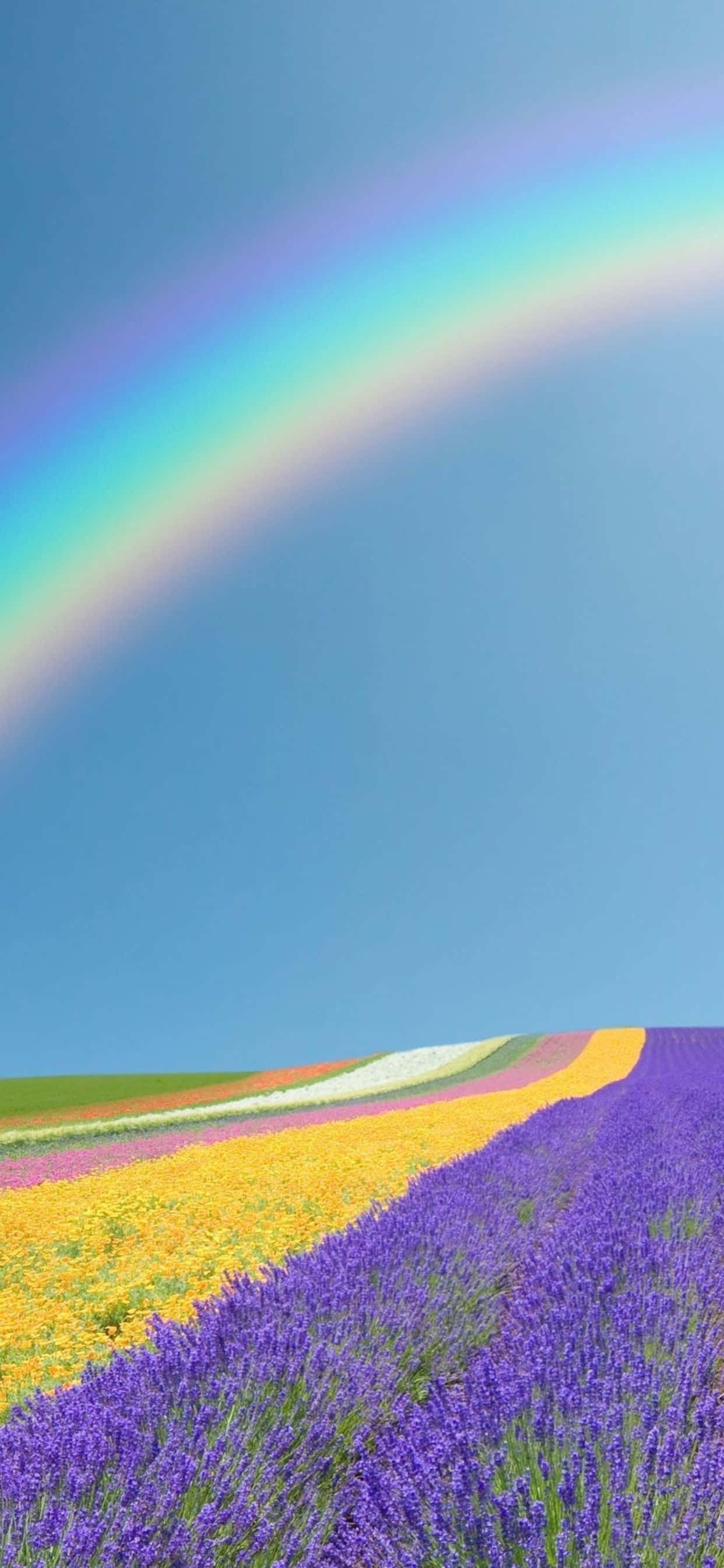 Nyd et smukt forår med Google Pixel 3 Wallpapers