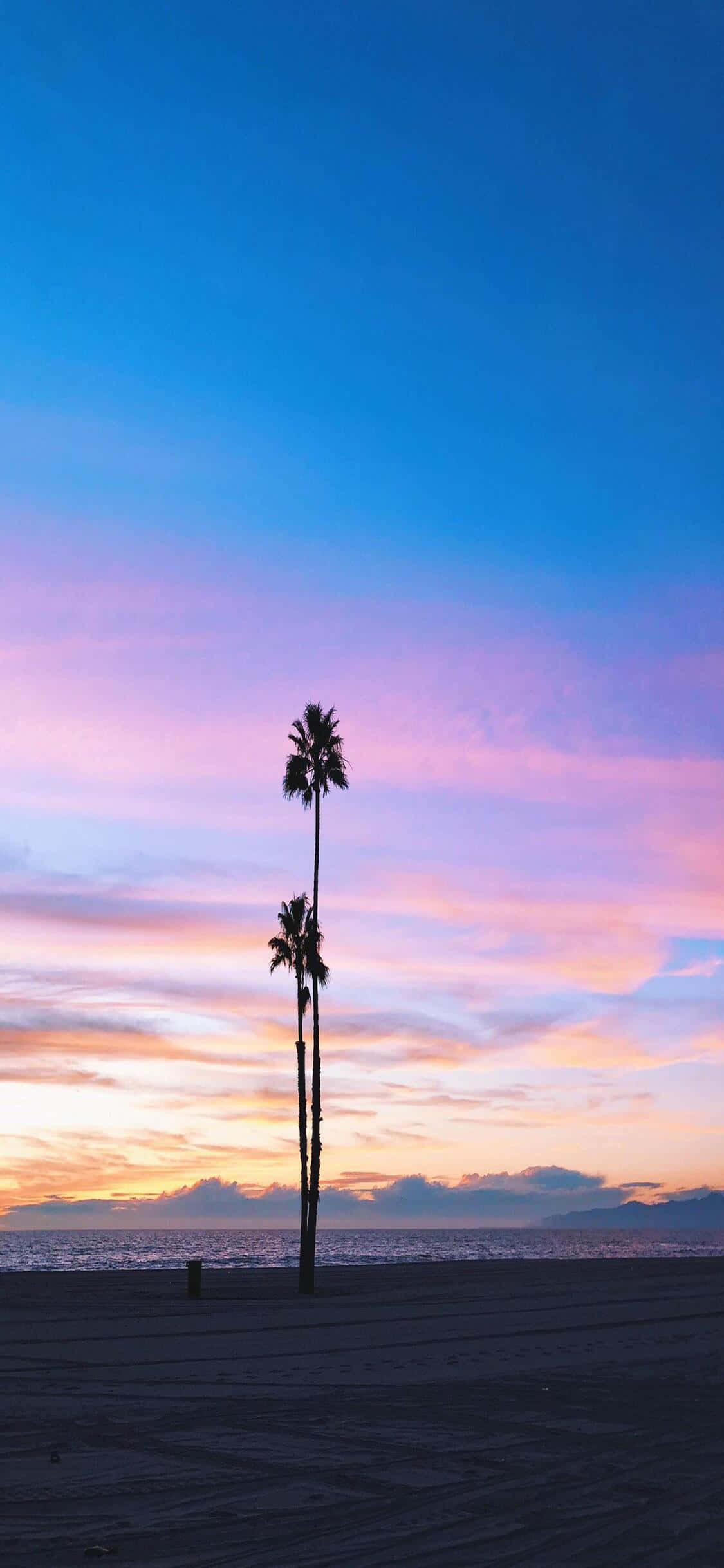 Nyd livet i Den Gyldne Stat med iPhone X Californien Wallpapers