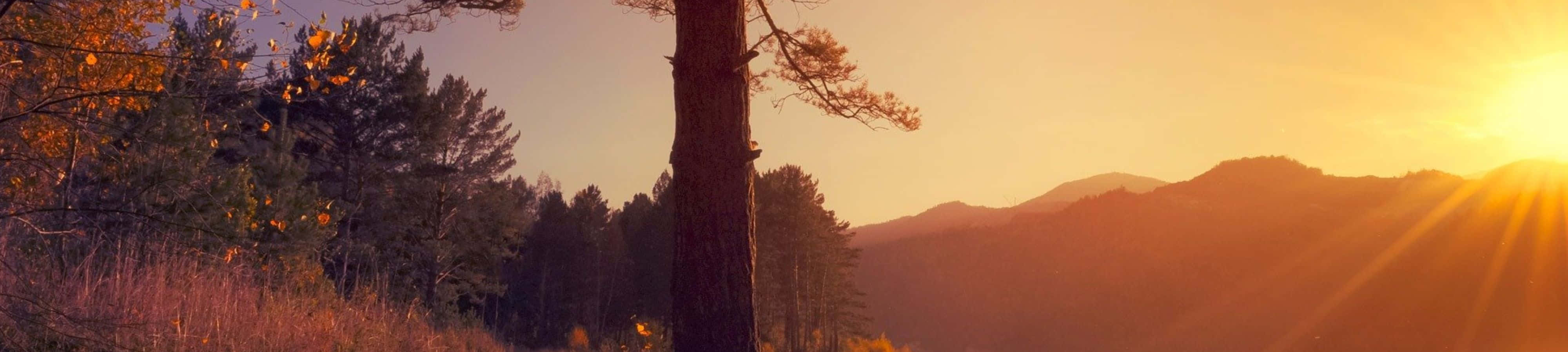 Nyd naturens skønhed Wallpapers