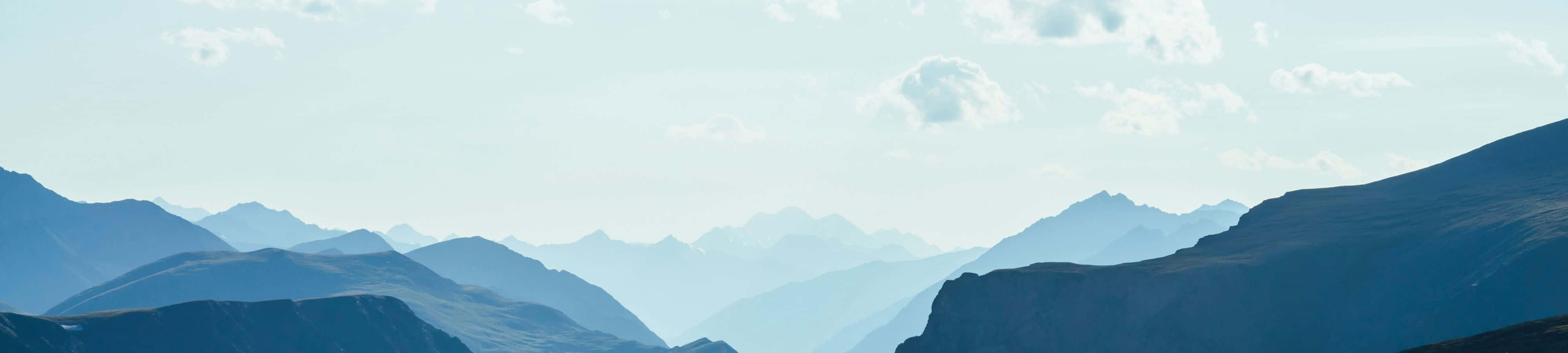 Nyd naturens skønhed med træer, græs og vand i harmonisk balance Wallpapers