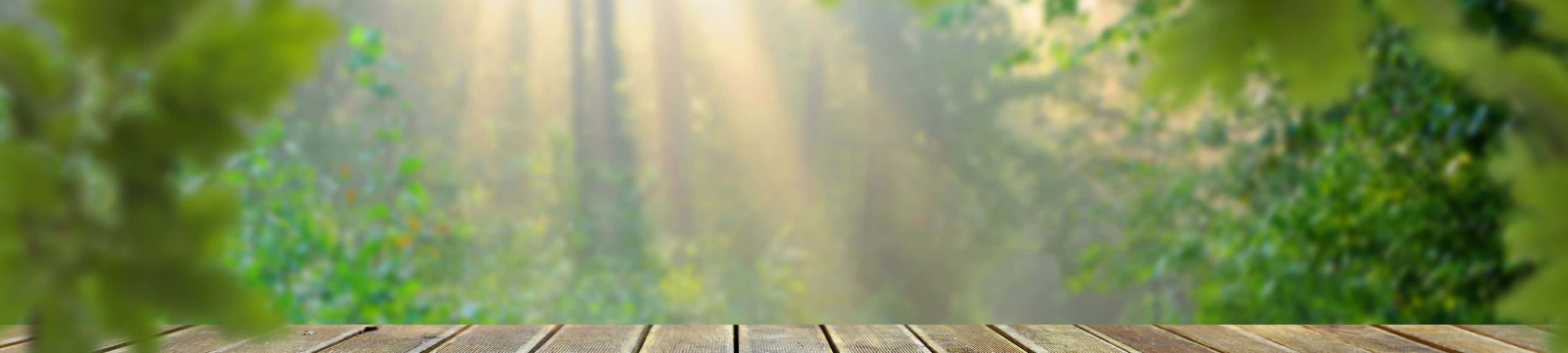 Nyd naturens skønhed Wallpapers