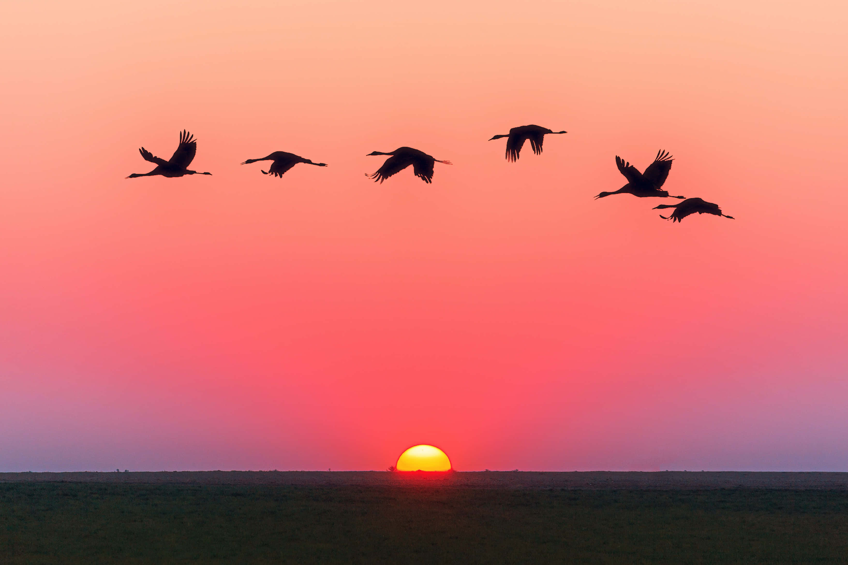 Nyd skønheden i en betagende solnedgang Wallpapers