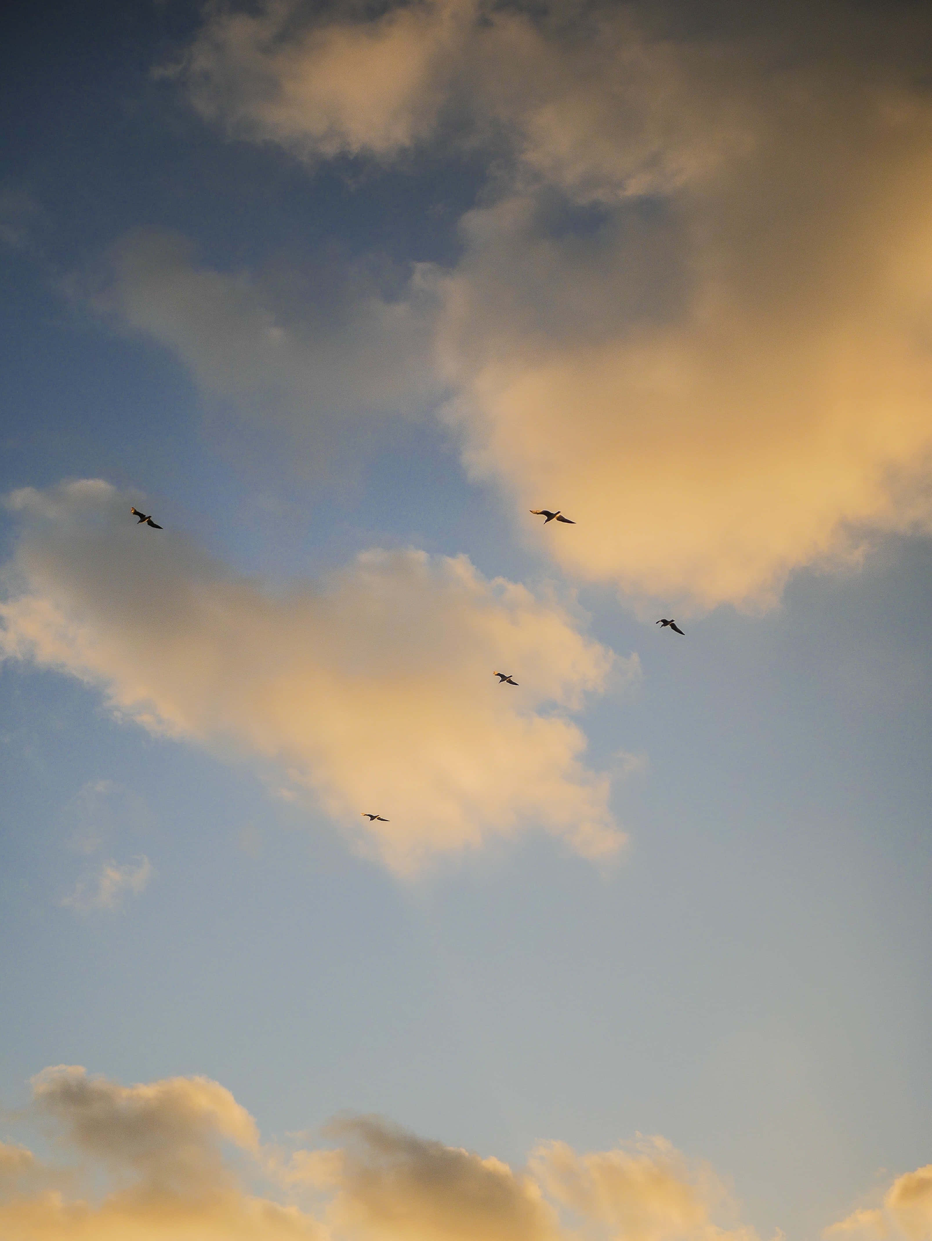Nyd skønheden af en pastelfarvet æstetisk himmel Wallpapers