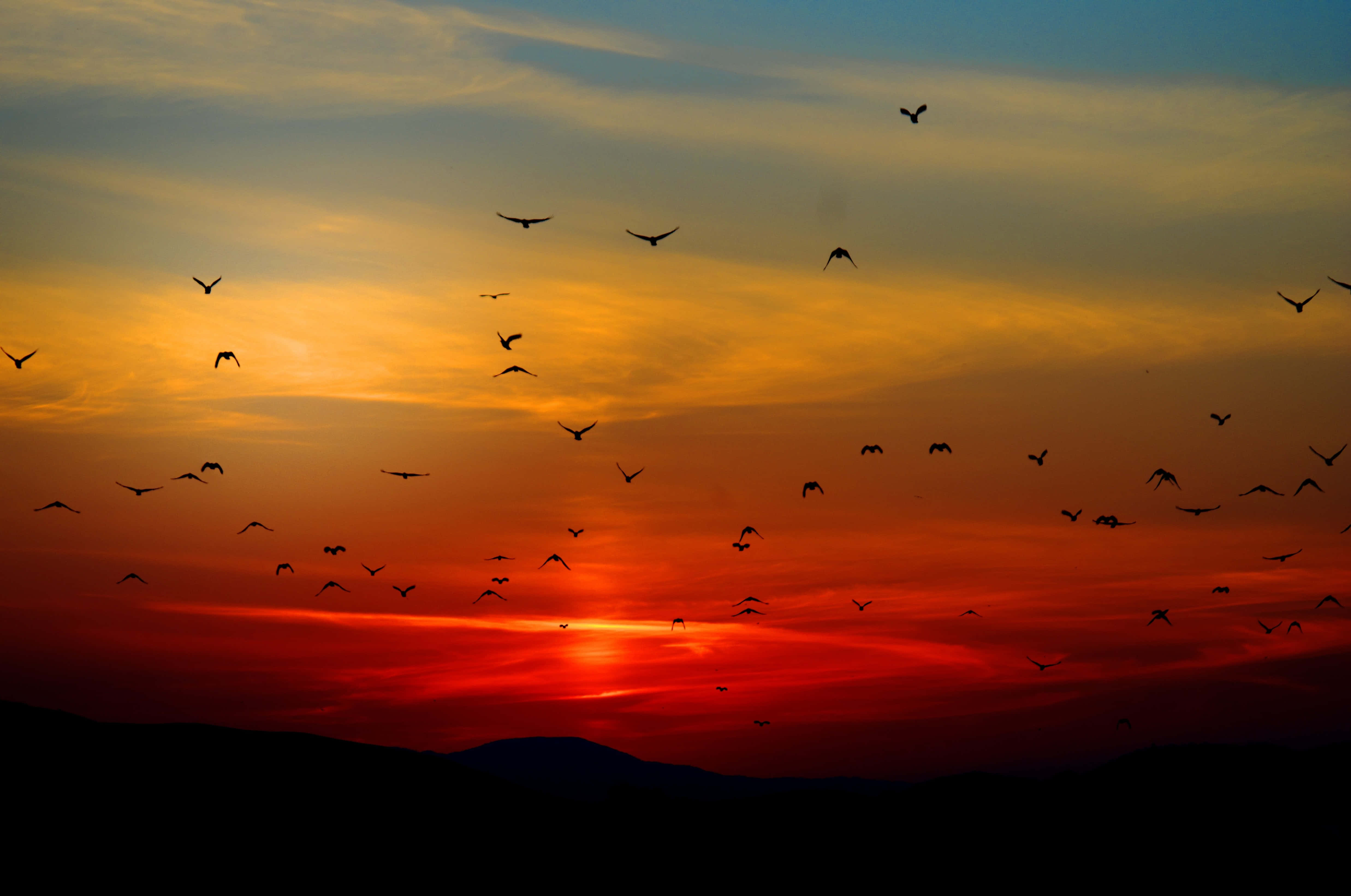Nyd skønheden af en betagende solnedgang Wallpapers