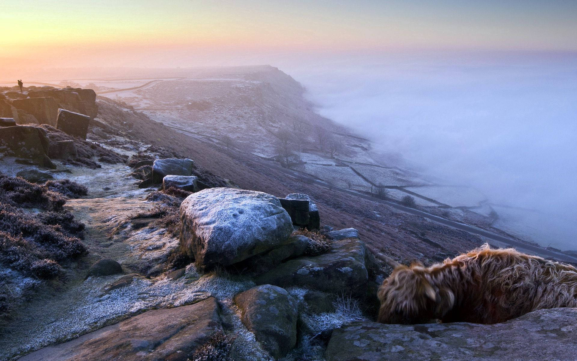 Nyd skønheden i Rocky Mountain Wallpapers