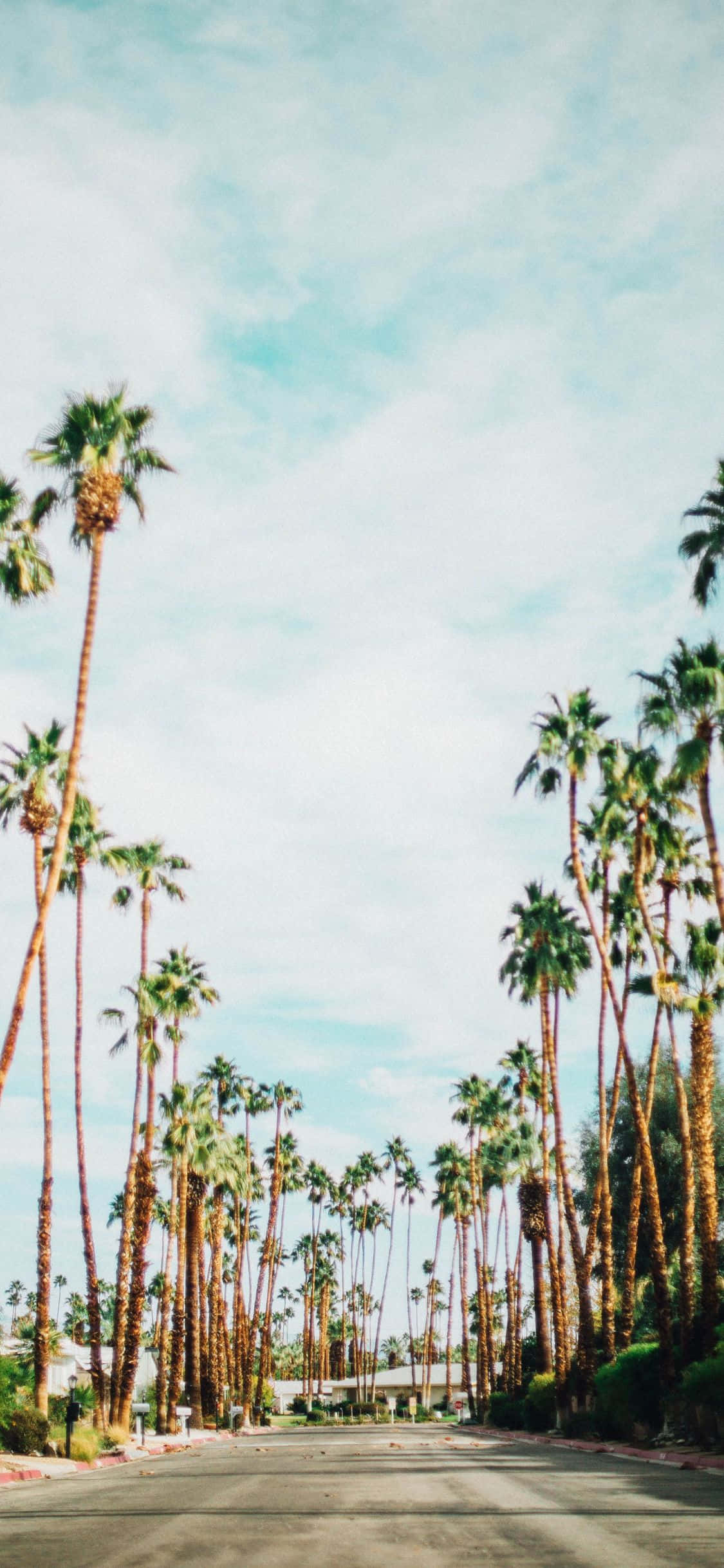 Nyd solnedgangen i Californien med iPhone Xs Wallpapers