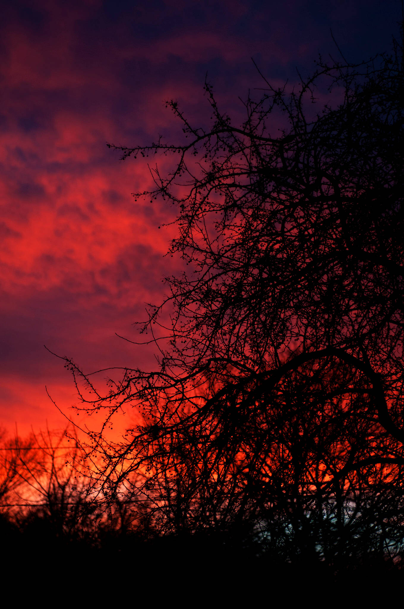 Nyd solnedgangens fantastiske farver Wallpapers