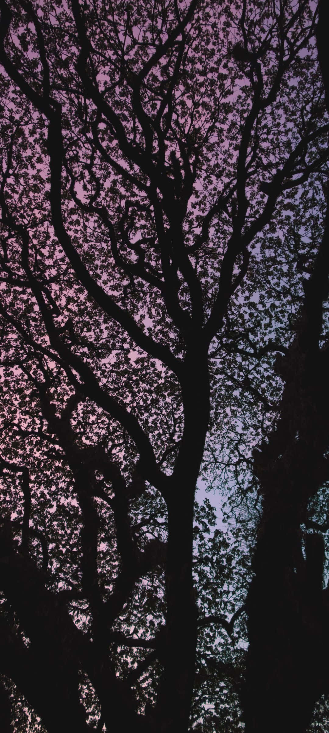 Nyd #Sommeren med en farverig solnedgang Wallpapers