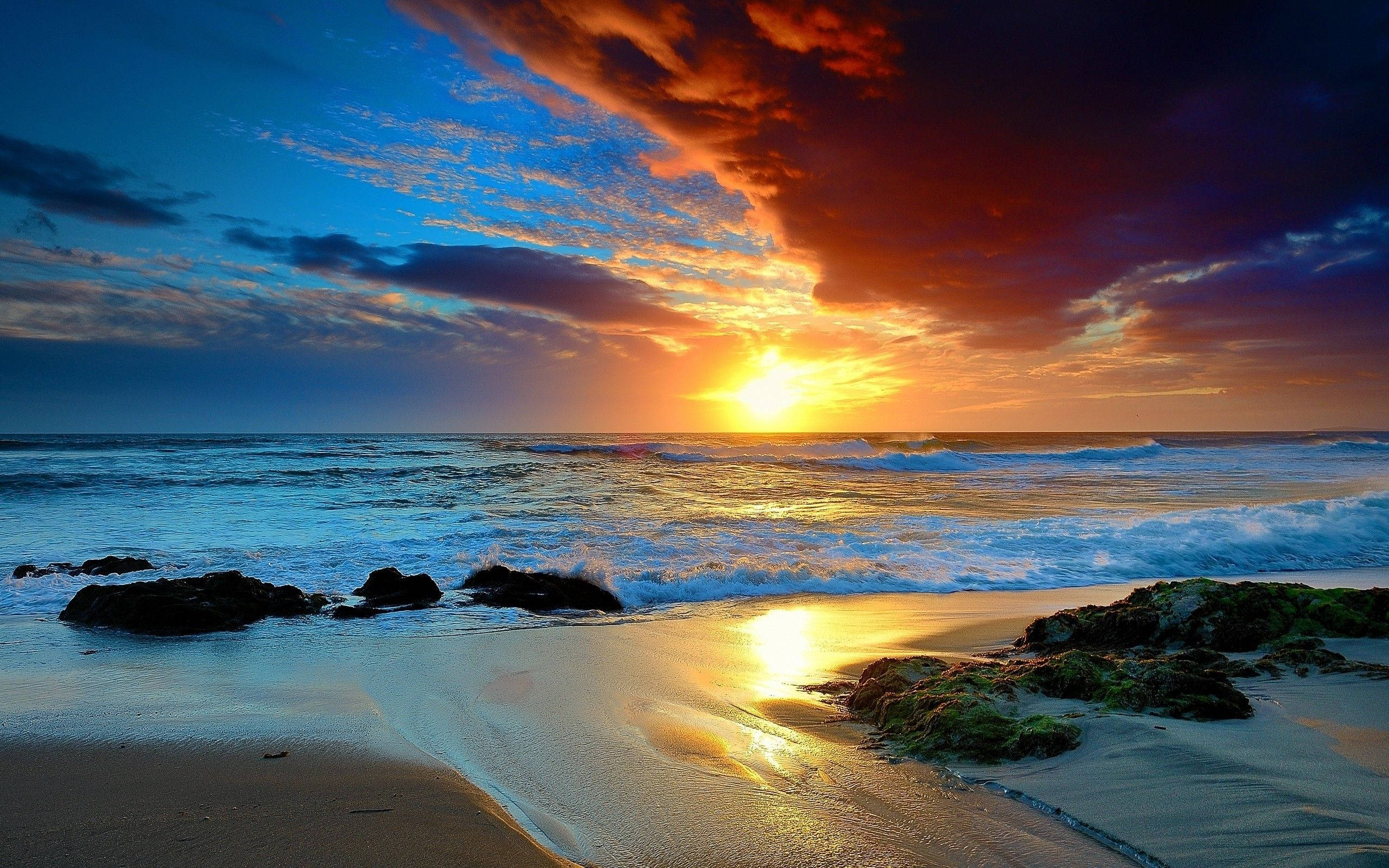 Oahu havudsigt Wallpapers