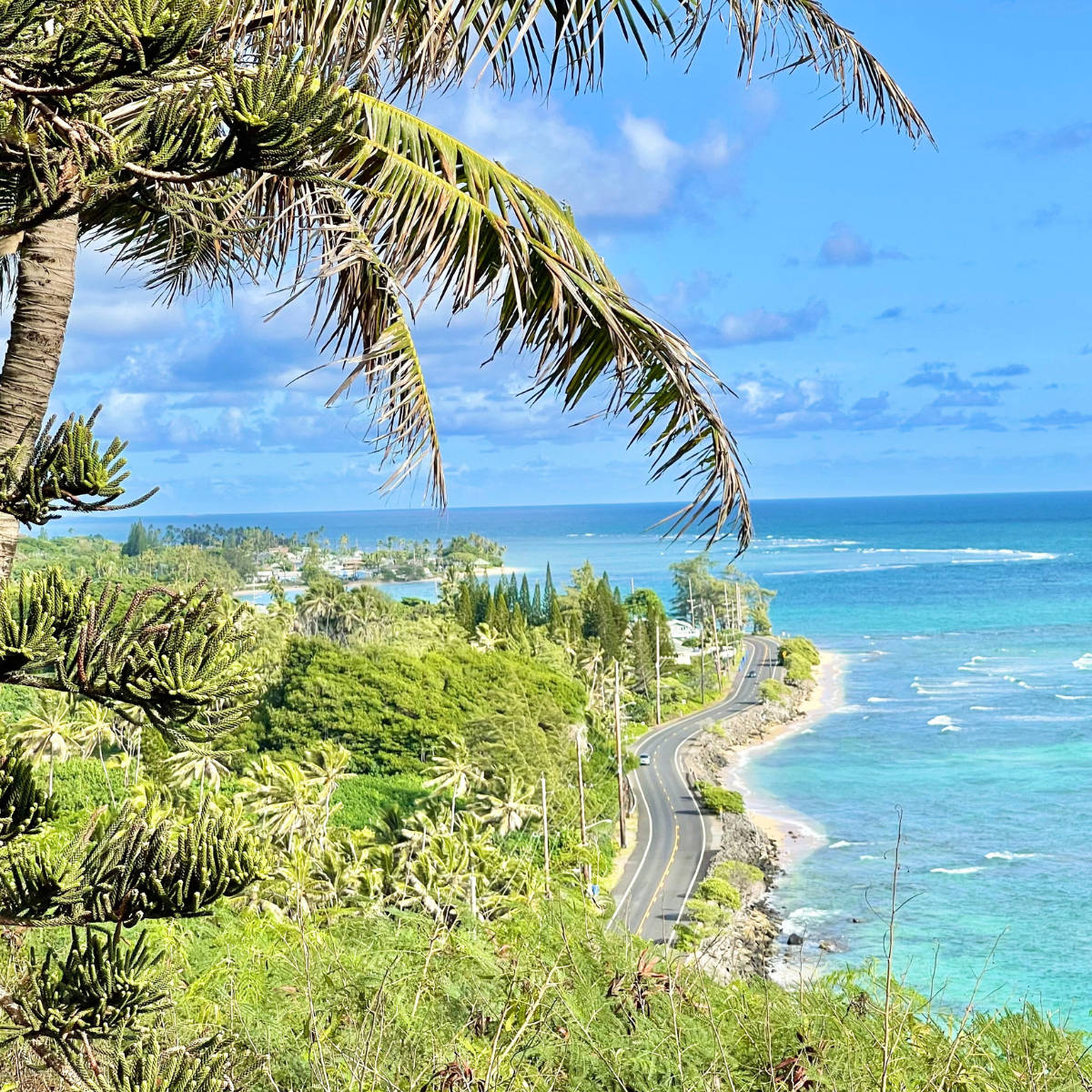 Oahu-vej ved havet Wallpapers