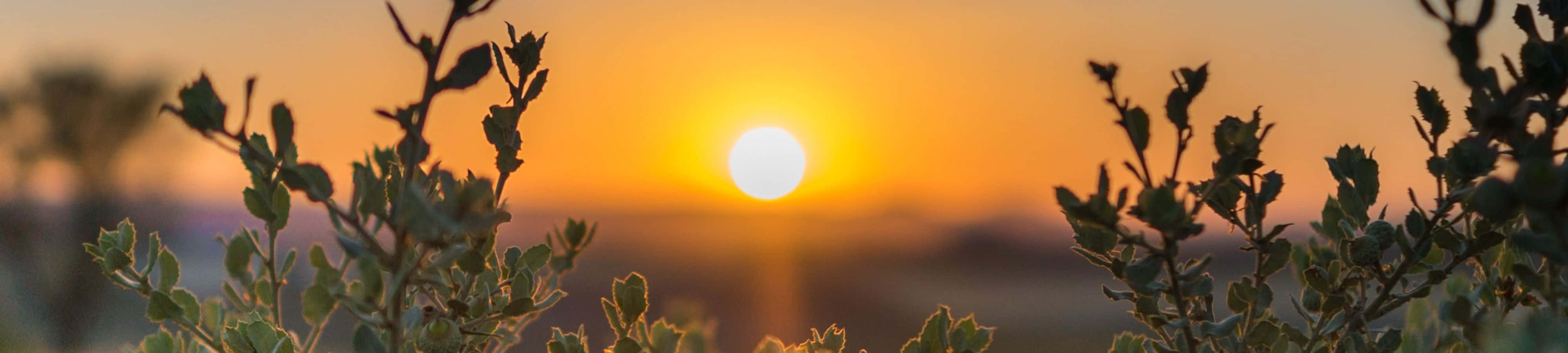 Oase af ro Wallpapers
