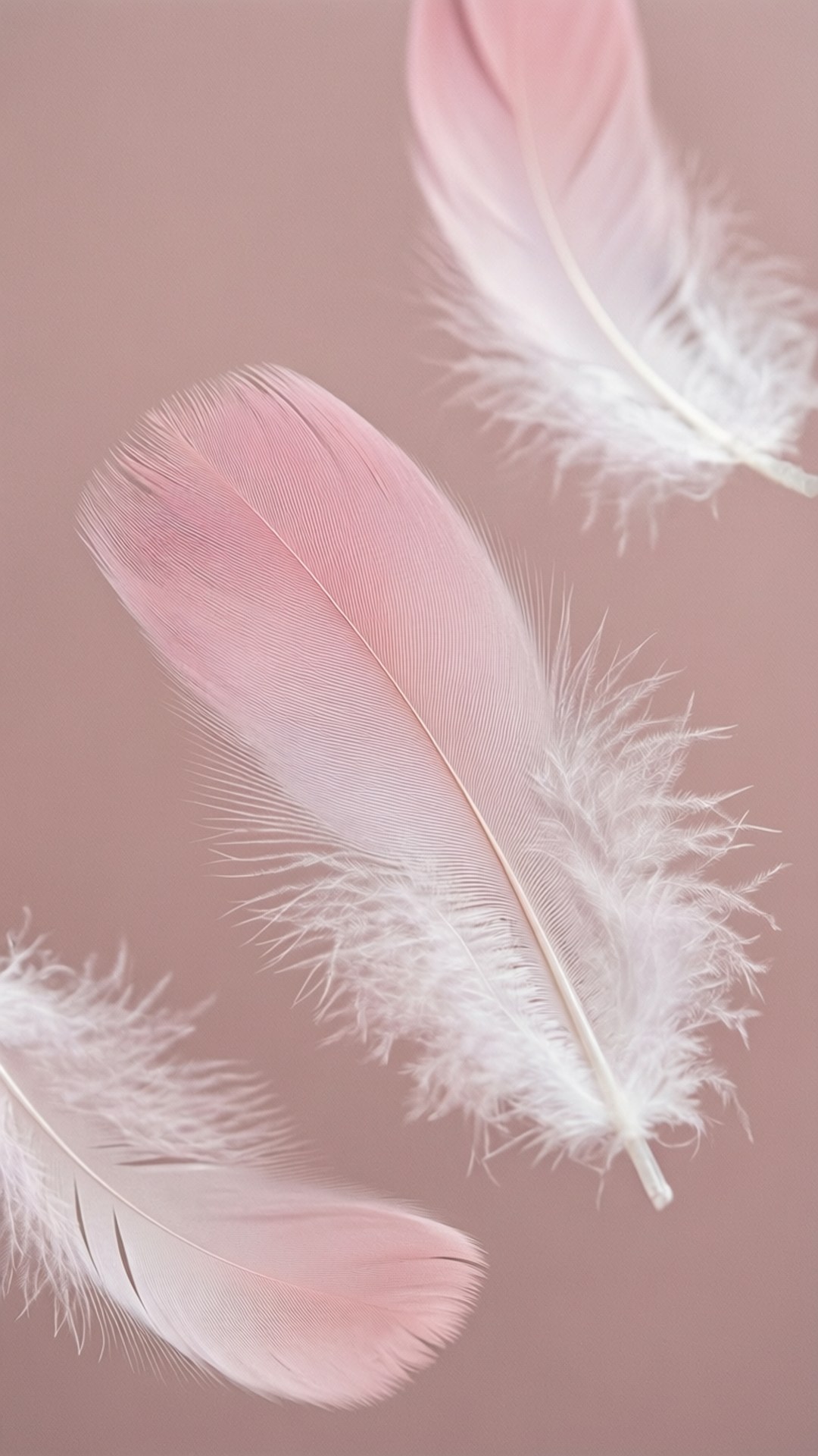 Ombre-fjer Wallpapers