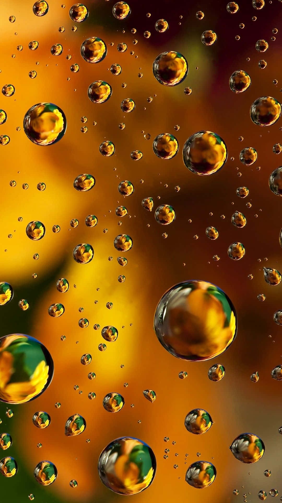 Omfavn mulighedernes verden med den nye iPhone 13 Wallpapers
