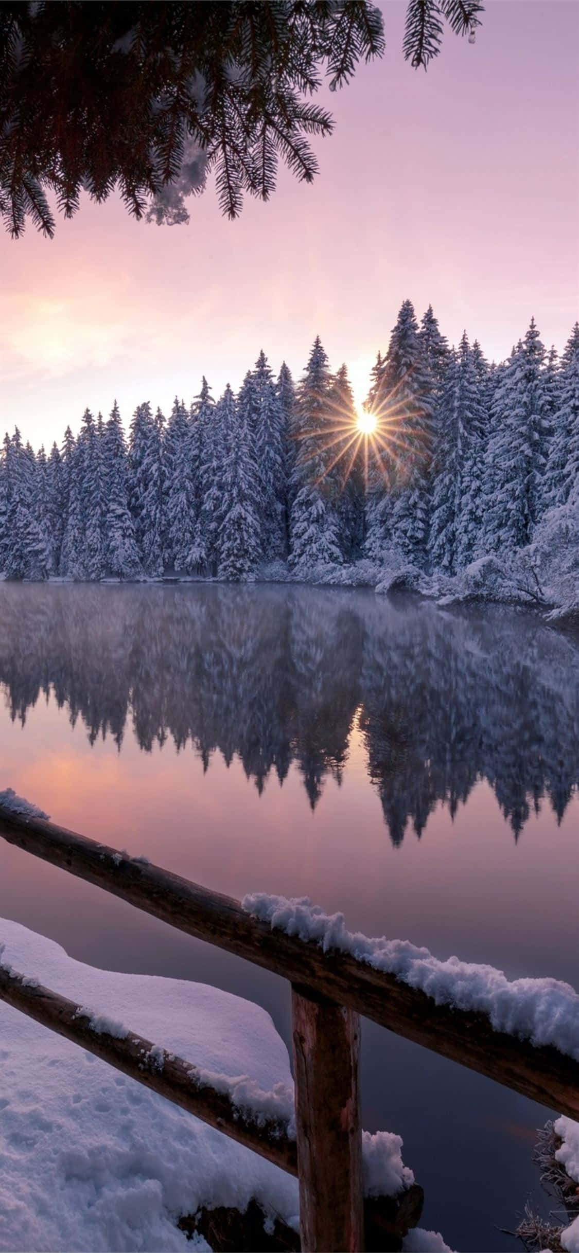 Omfavn roen med denne fredelige iPhone X naturbaggrund Wallpapers