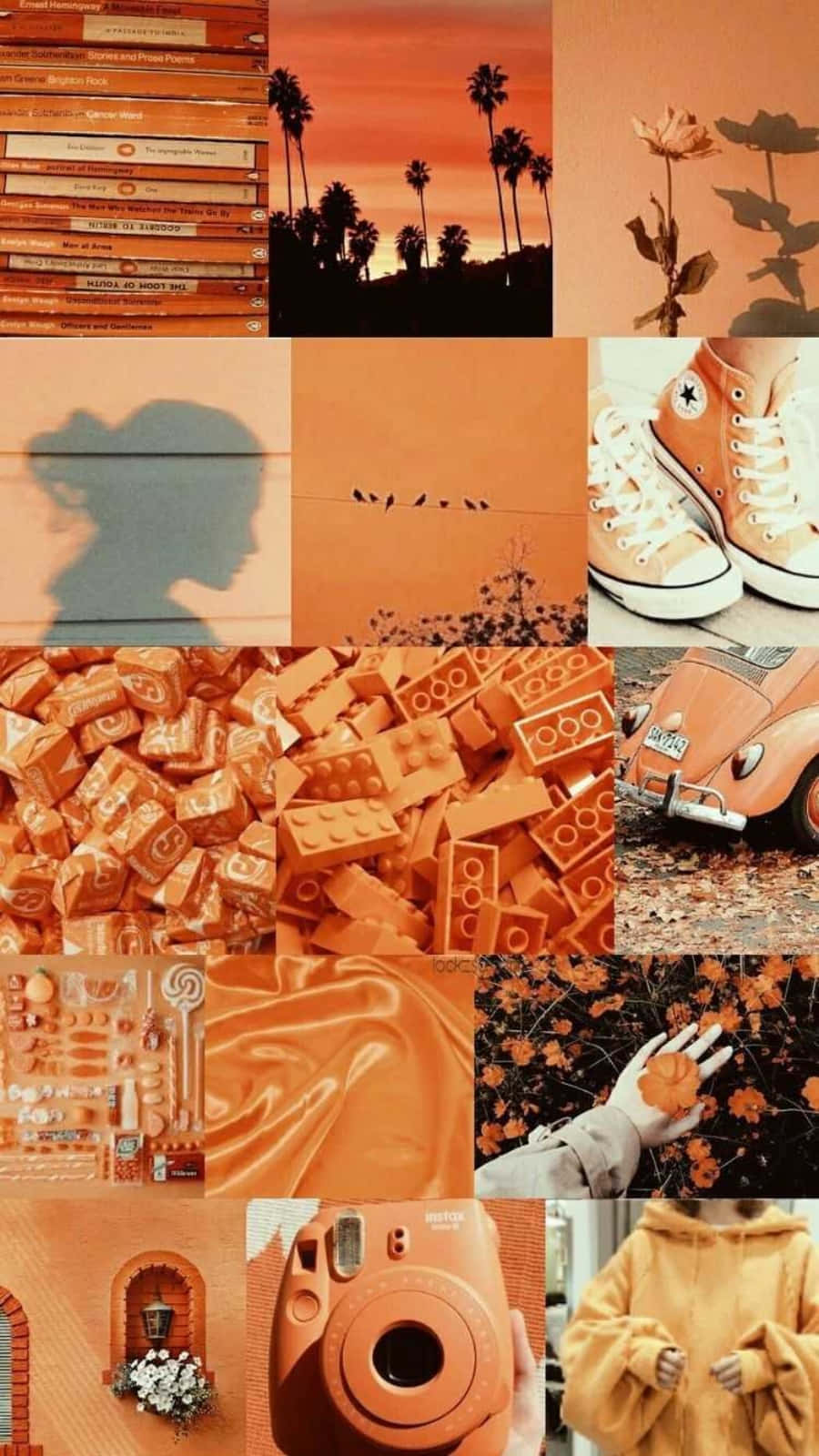 "Omfavn skønheden af orange." Wallpapers