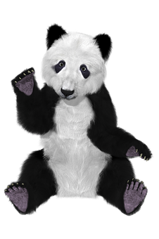 Omvendt farvet panda-bamse Wallpapers