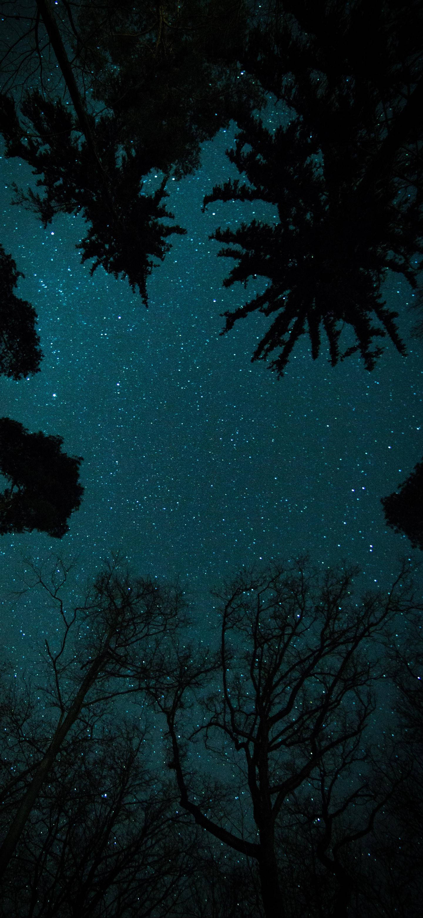 OnePlus Stjernehimmel Wallpapers