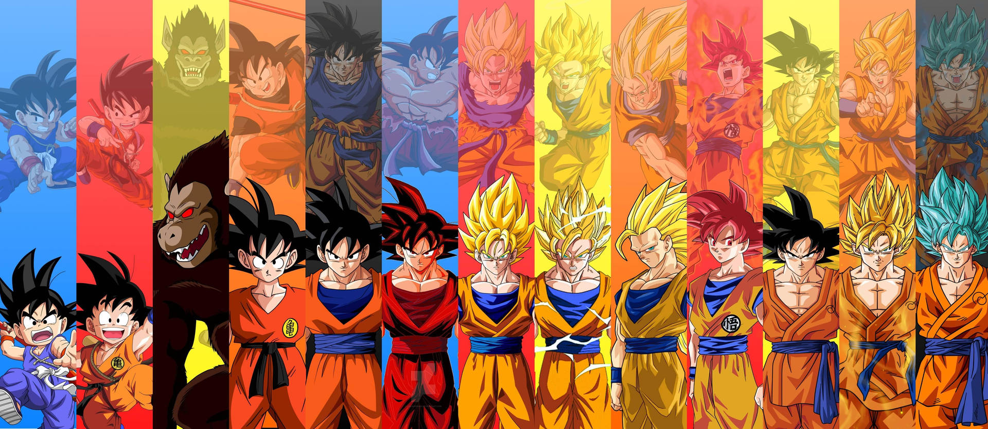 Goku wallpaper med alle Son Gokus stadier inklusive Oozaru — Goku Wallpapers