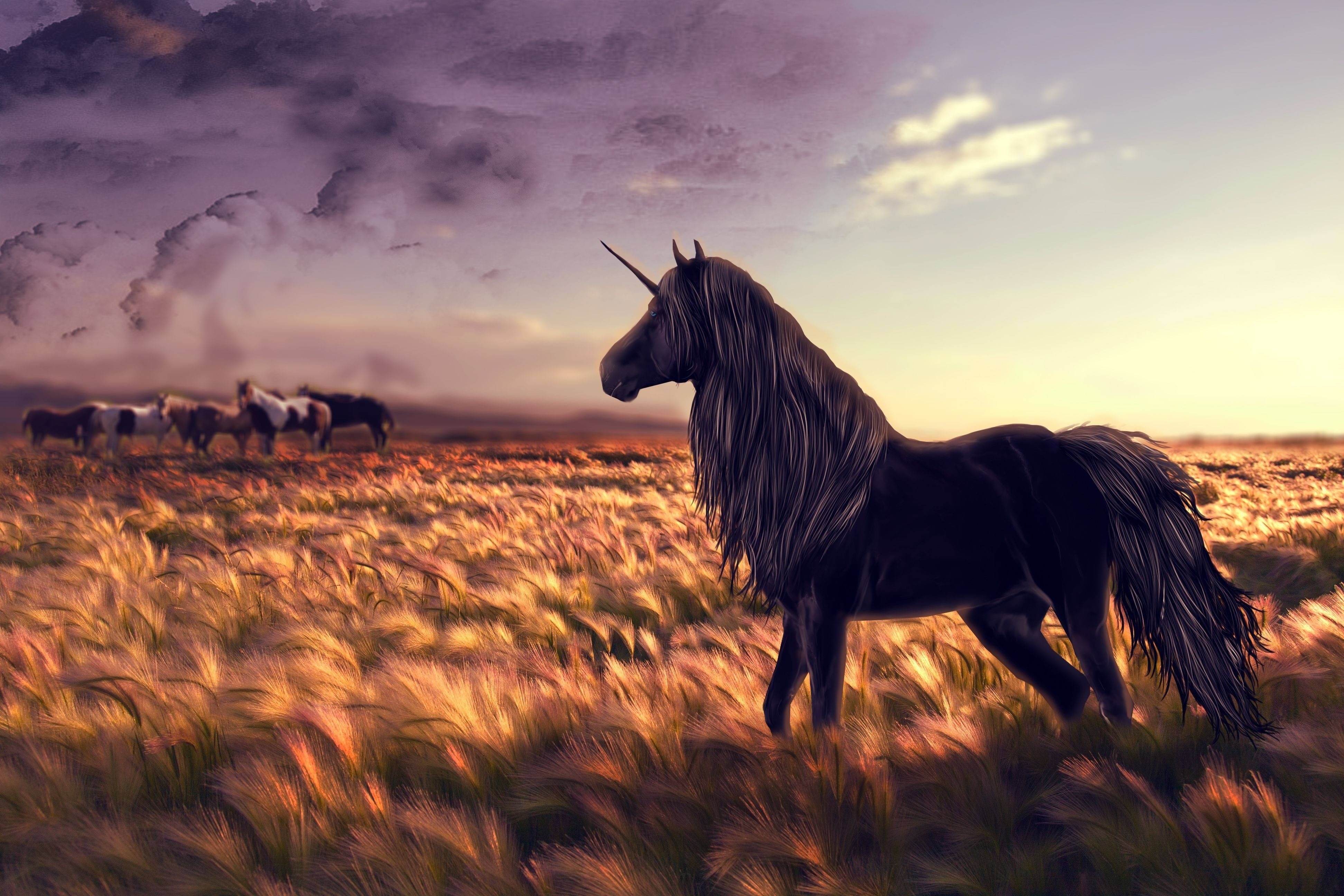 Opdag magiske væsner gennem en lyssti Wallpapers