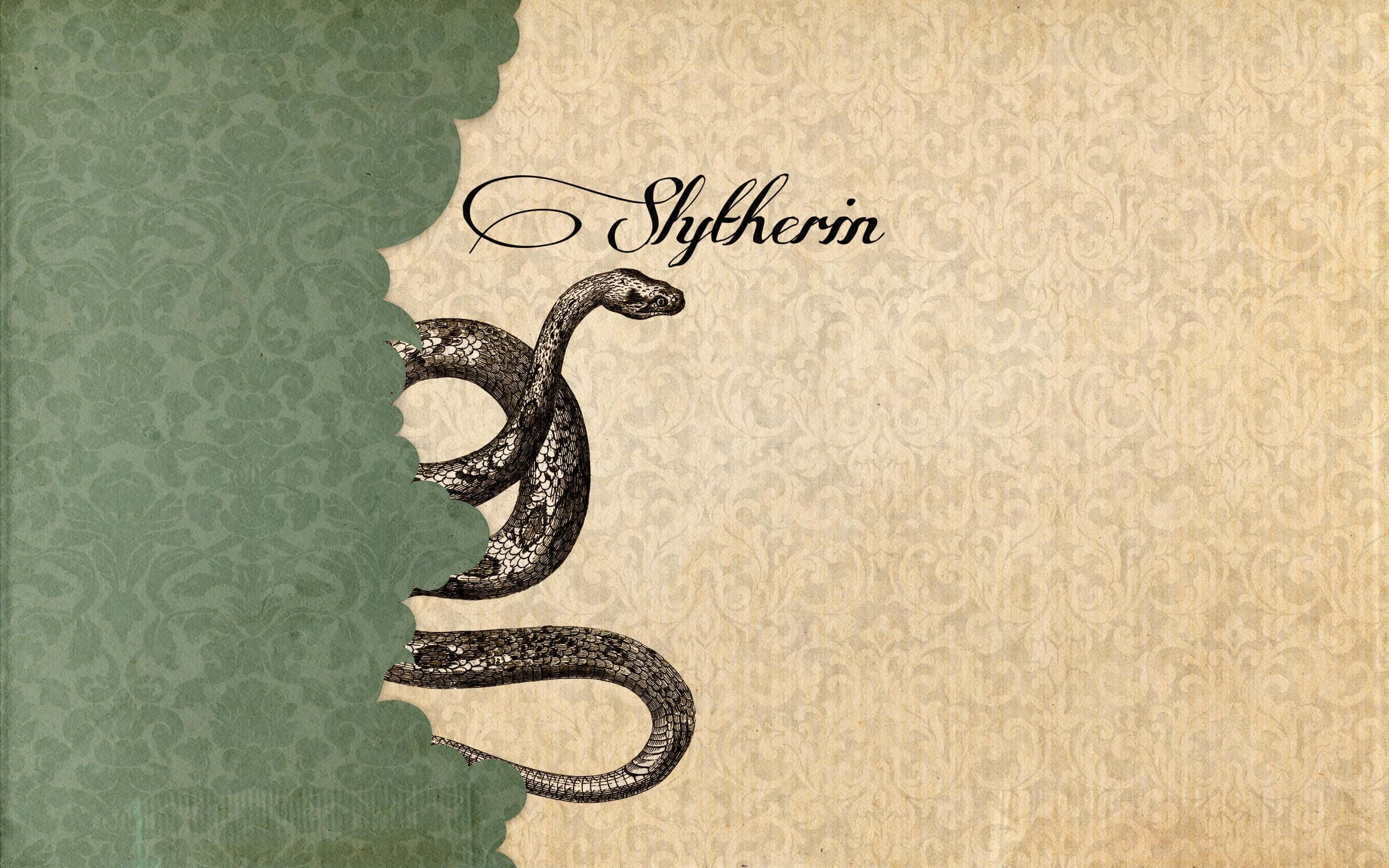 Opdag Slytherin-æstetikkens gådefulde charme 🐍 Wallpapers