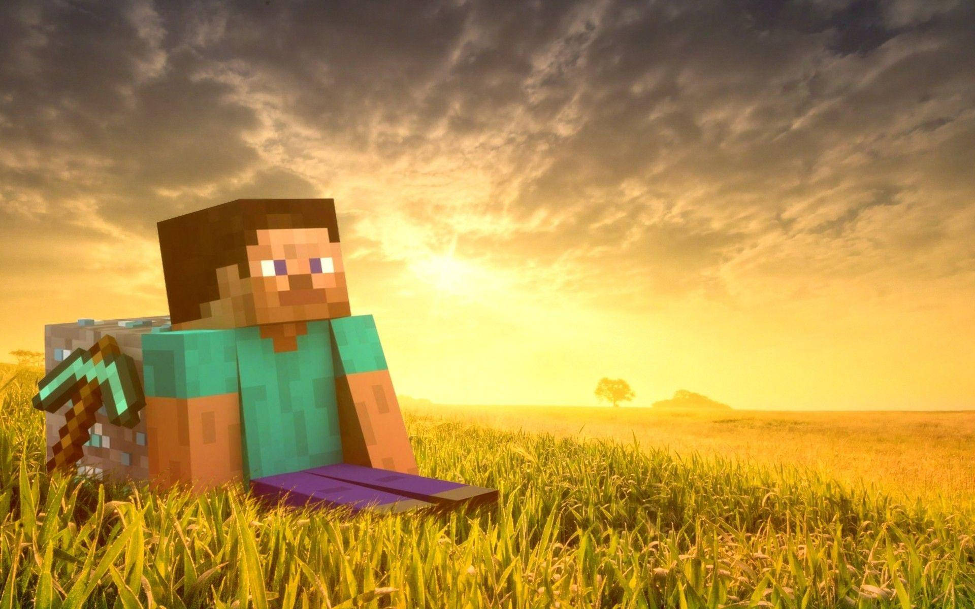 Oplev glæderne ved en ny verden med Minecraft Steve Wallpapers
