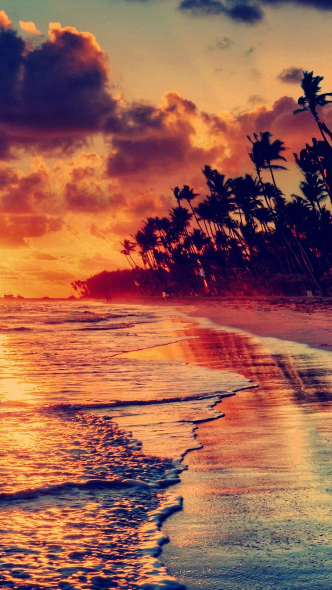 Oplev magien i naturens smukke solnedgang ved strandkanten Wallpapers