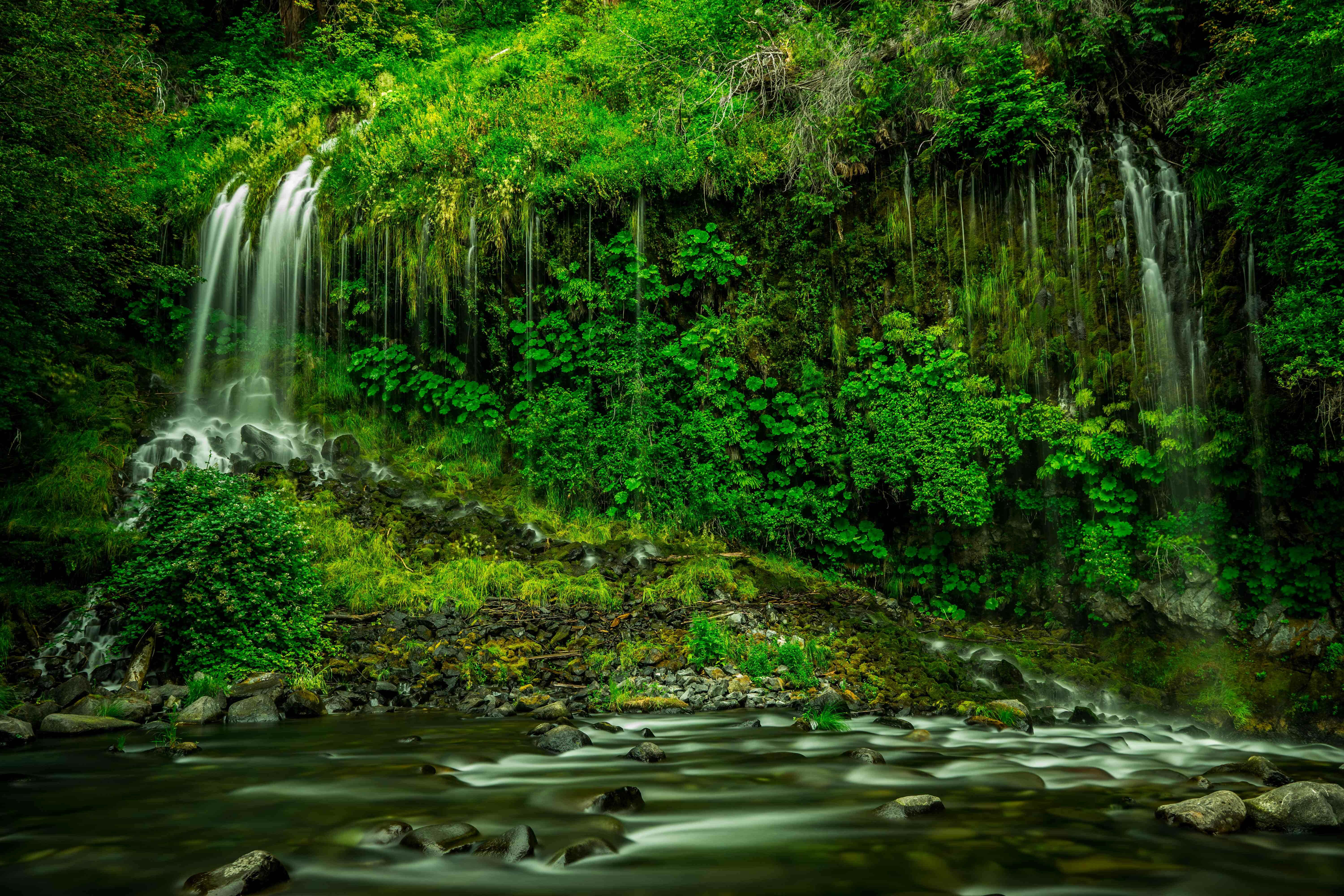 Oplev naturens fredelige frihed Wallpapers
