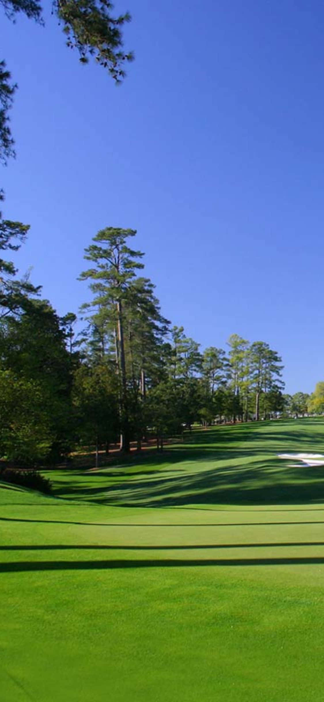 Oplev en golfbanes pragt med iPhone X Wallpapers