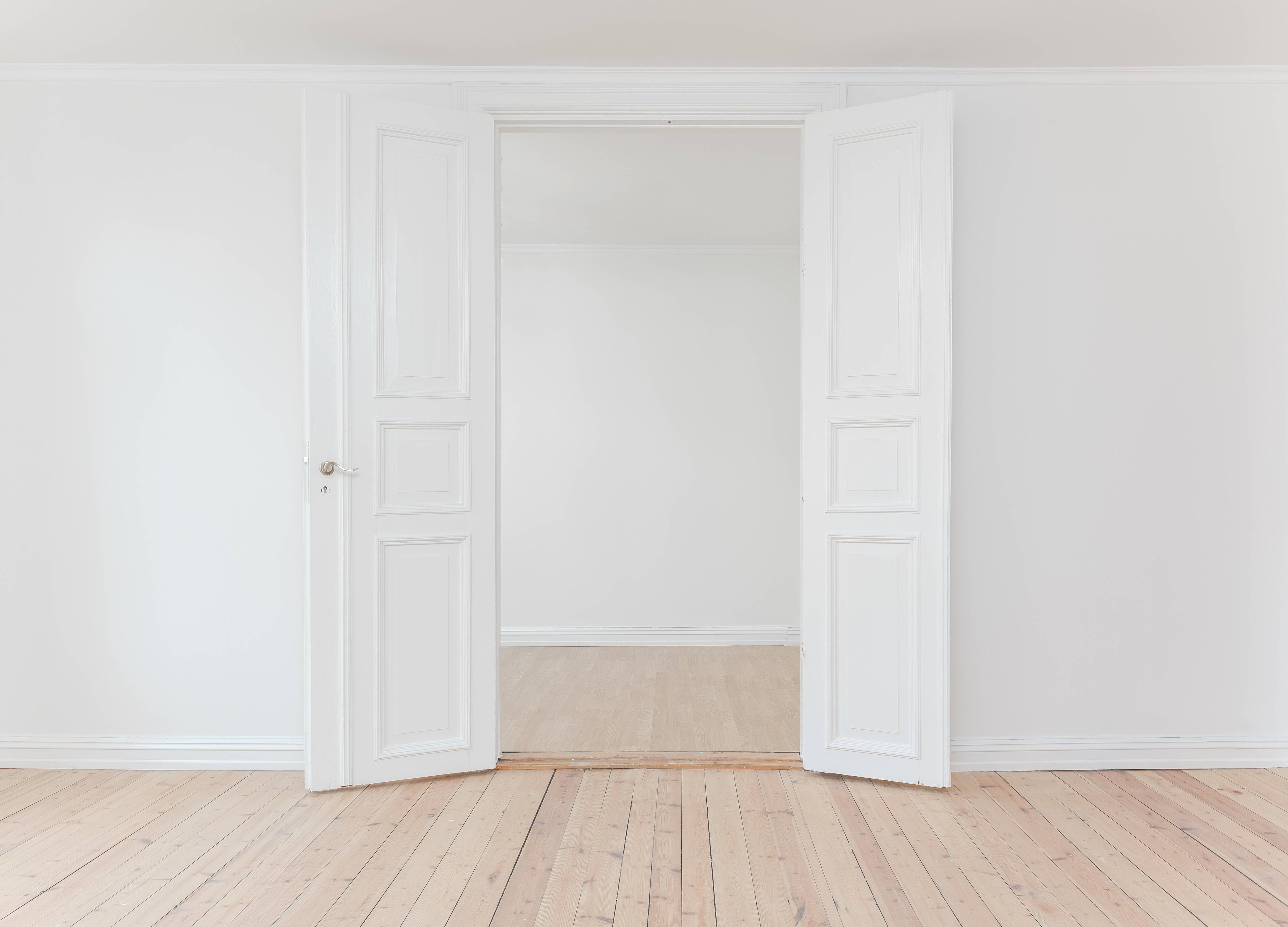Oplev roen i et rent minimalistisk design Wallpapers