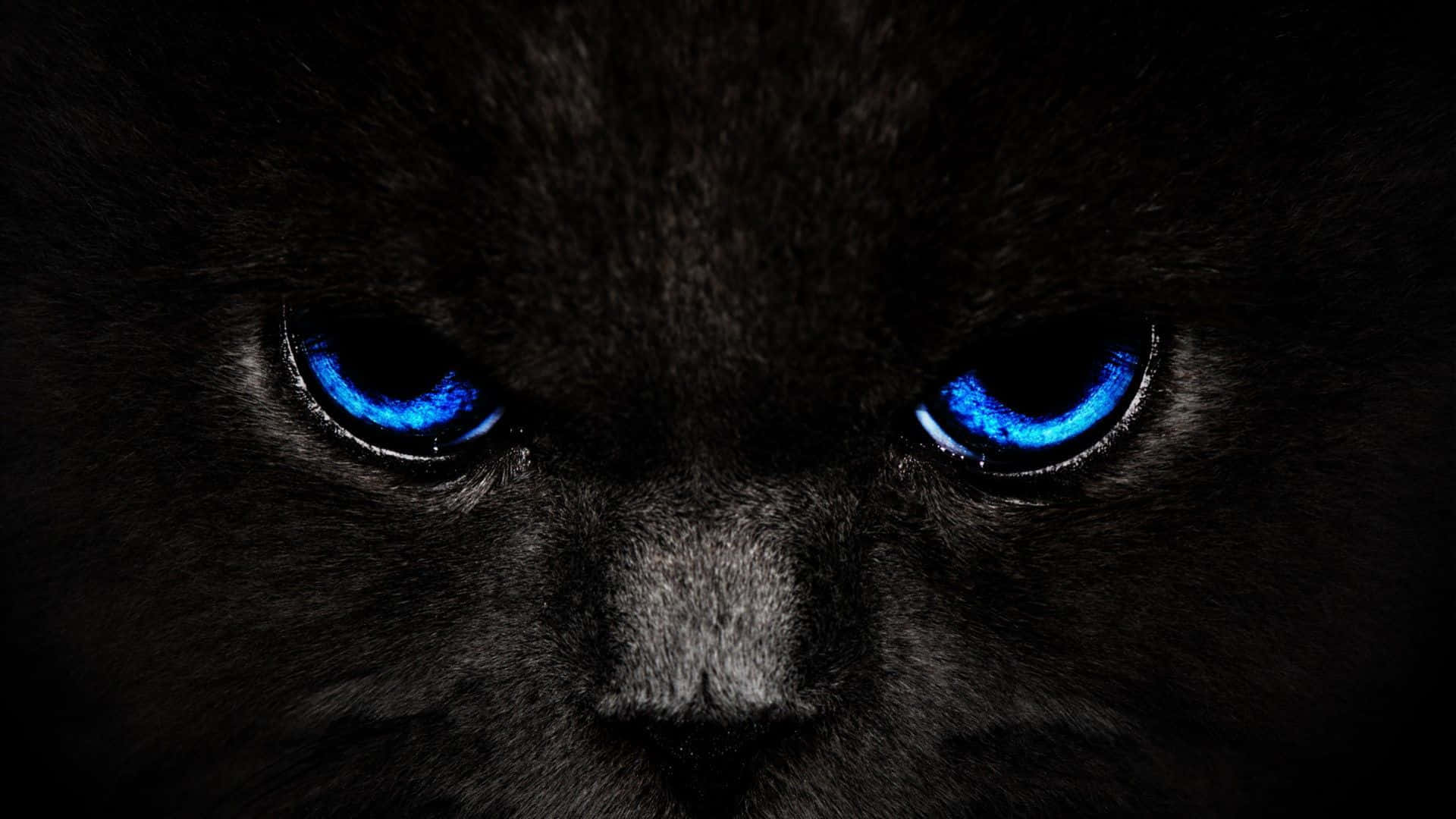 Oplev skønheden og dynamikken i Cool Black Wallpapers