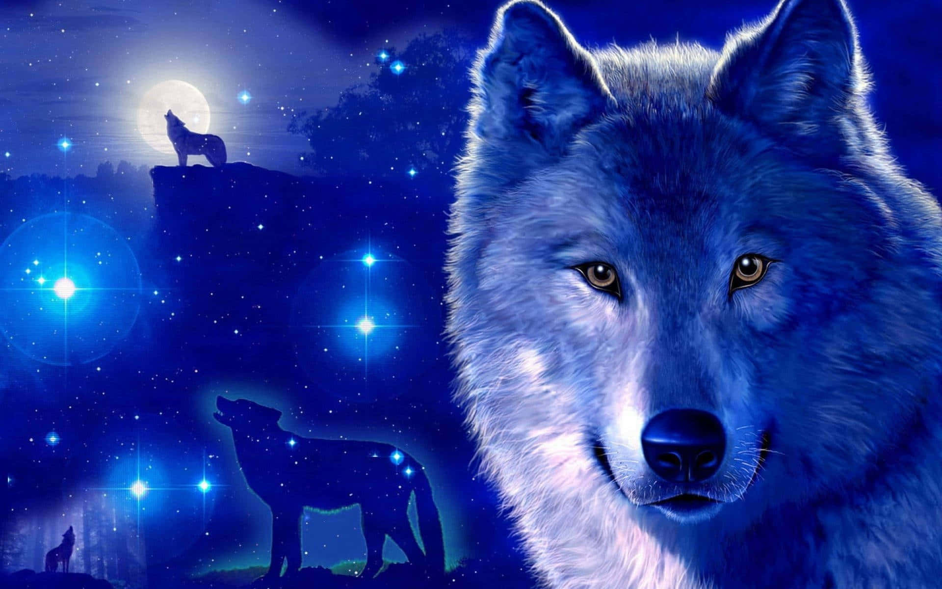 Oplev stjernernes skønhed med Galaxy Wolf Wallpapers