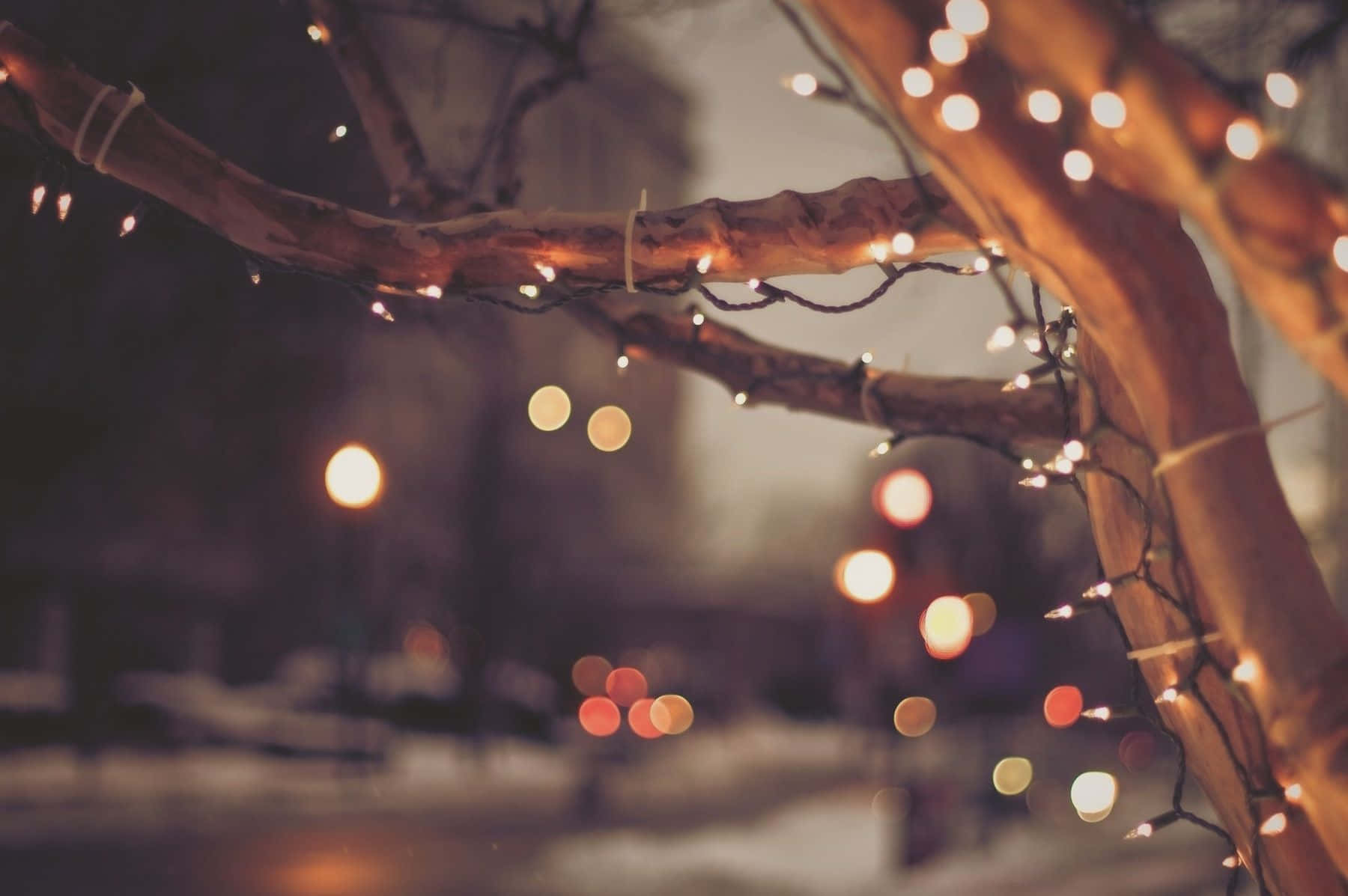 Oplys dit hjem med julelys i denne juletid Wallpapers